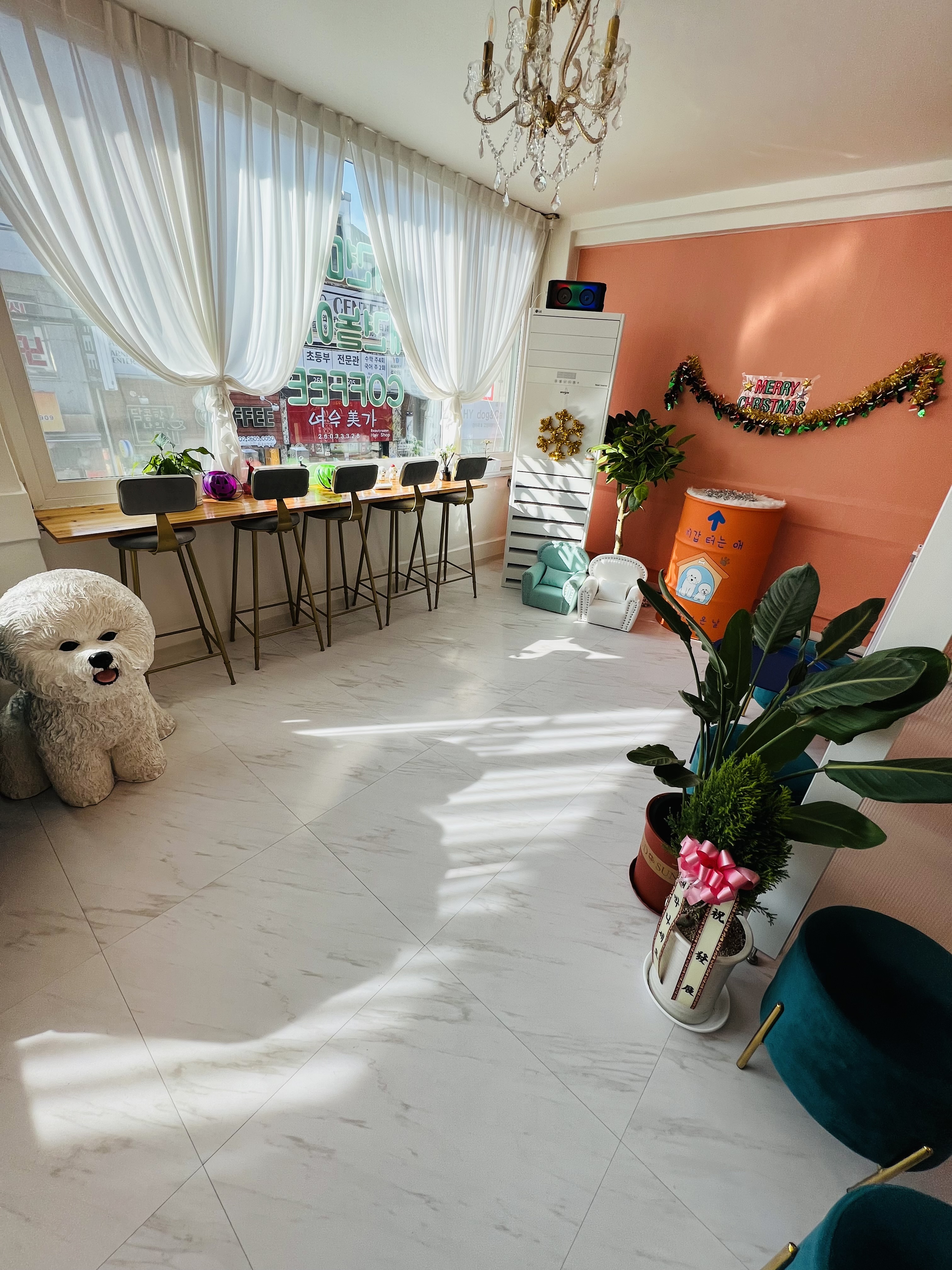 에바가위컷 화곡점 대표 이미지