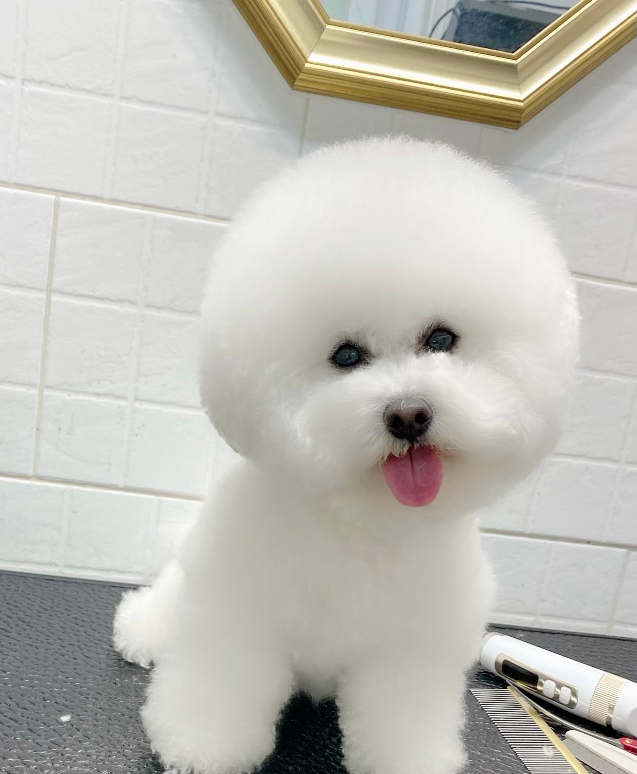 에바가위컷전문점 홍제점