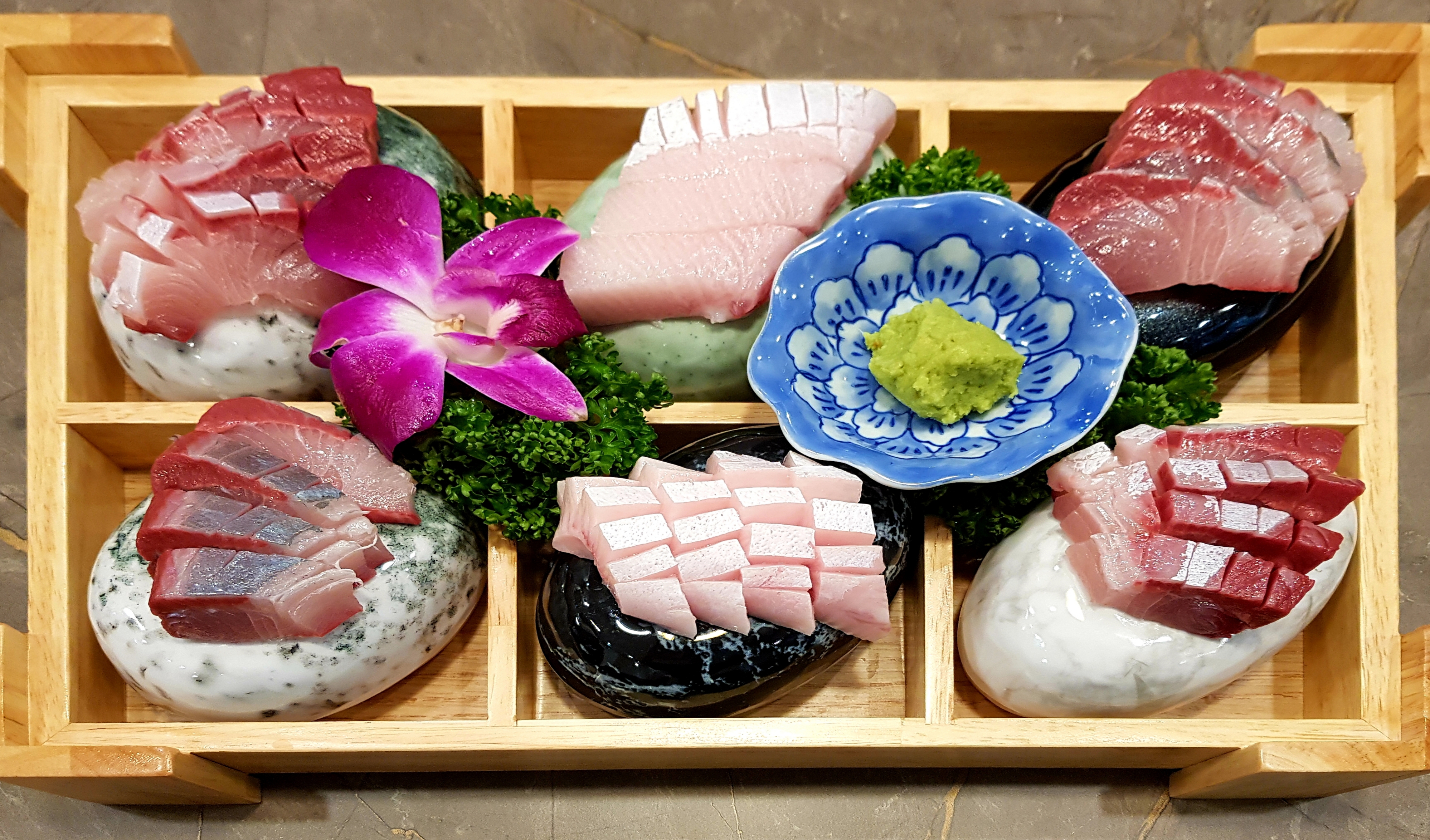숙성회앤스시