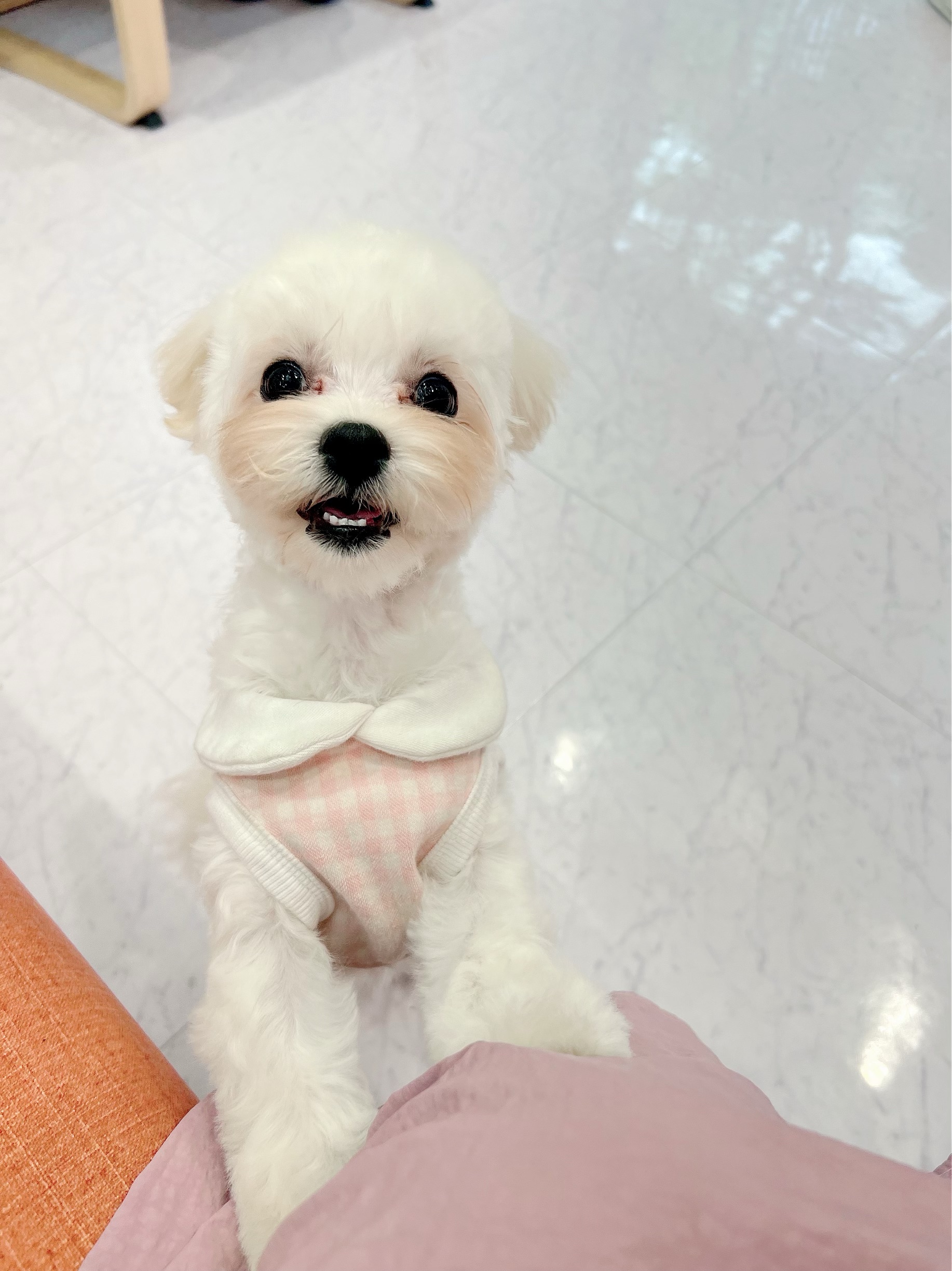 에바가위컷전문점 대표 이미지