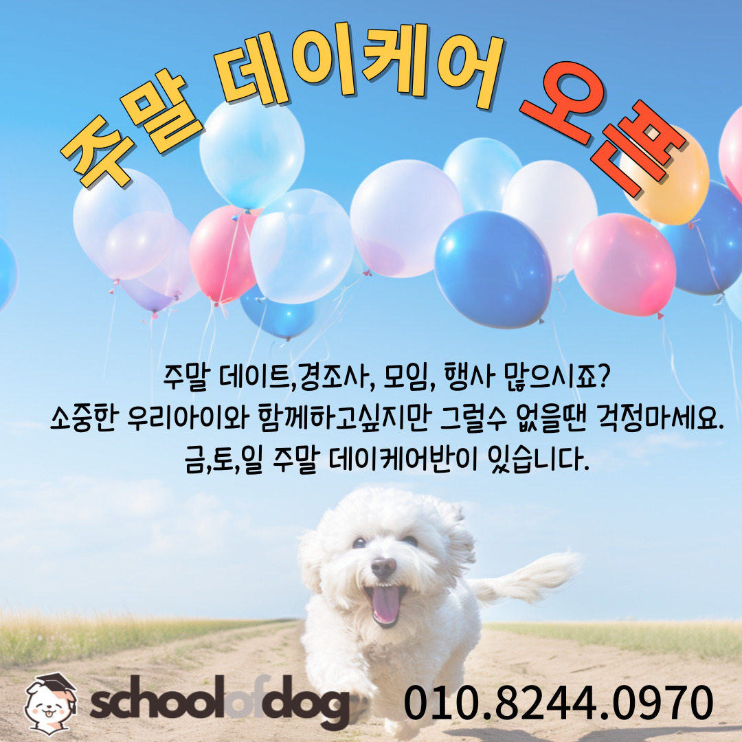 스쿨오브독 대표 이미지