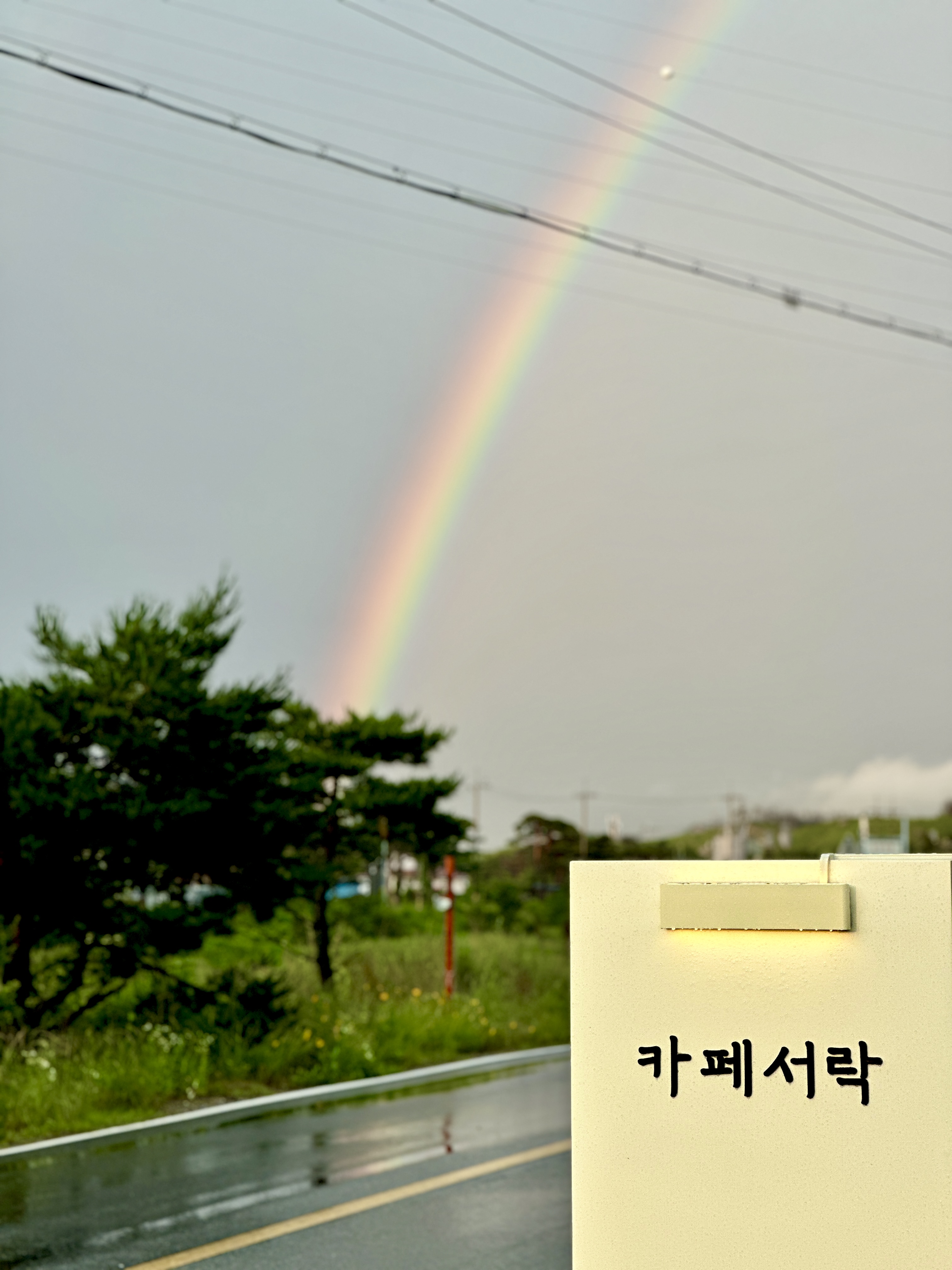 사진 3