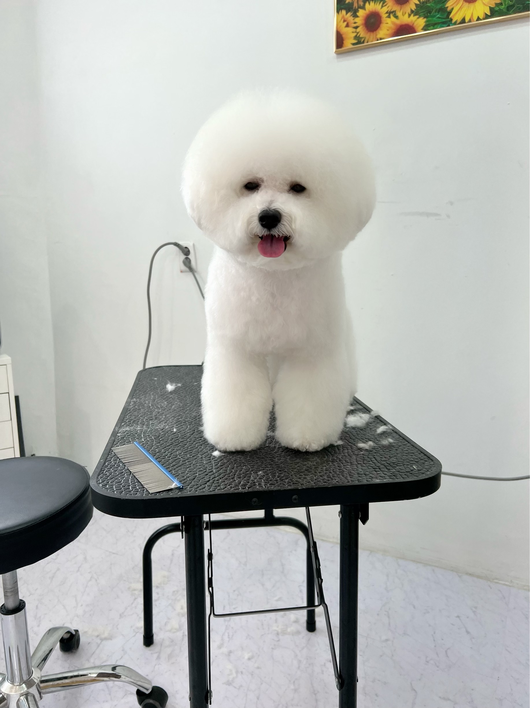 에바가위컷전문점 대표 이미지