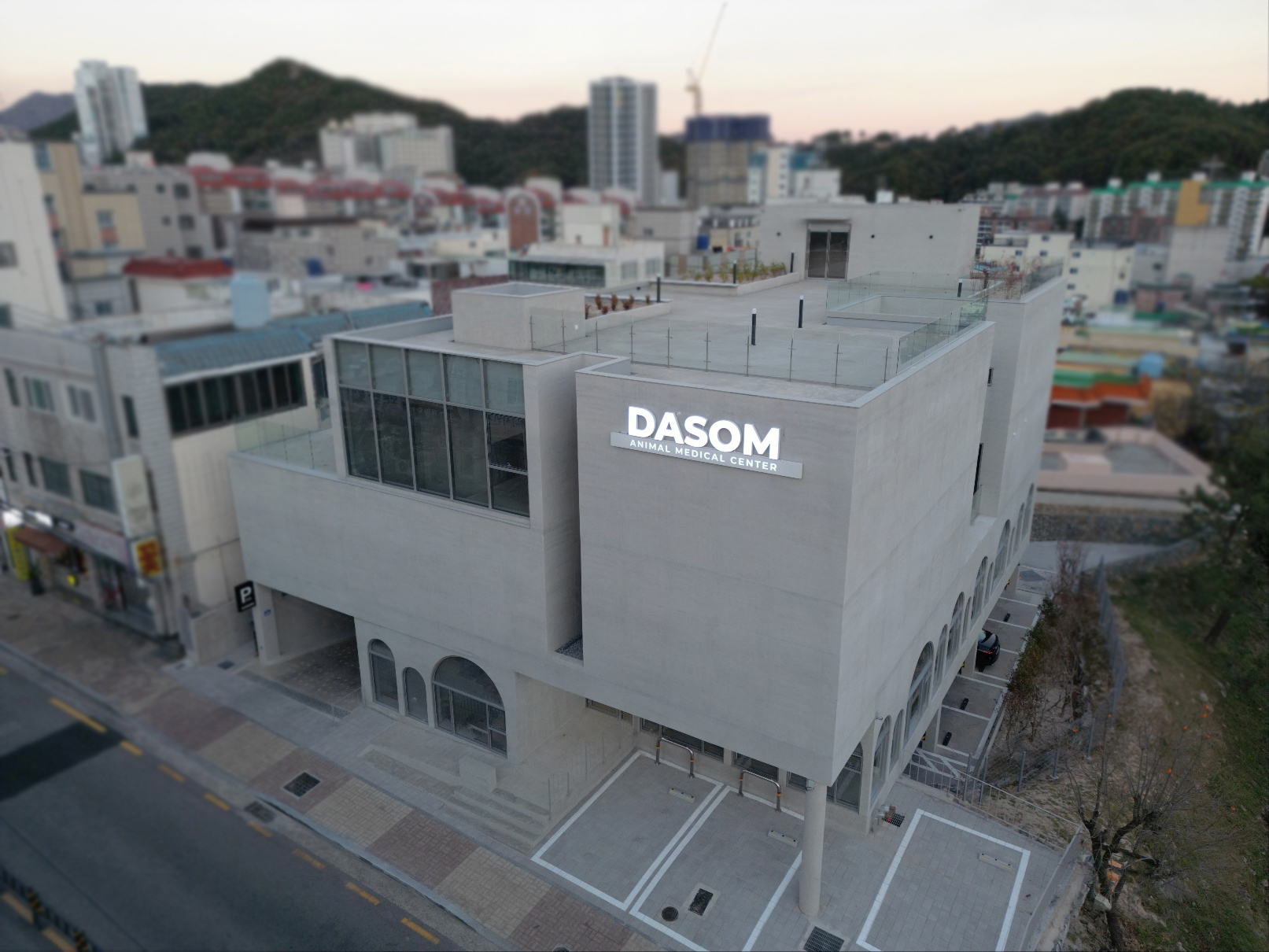 다솜고양이메디컬센터 금정점