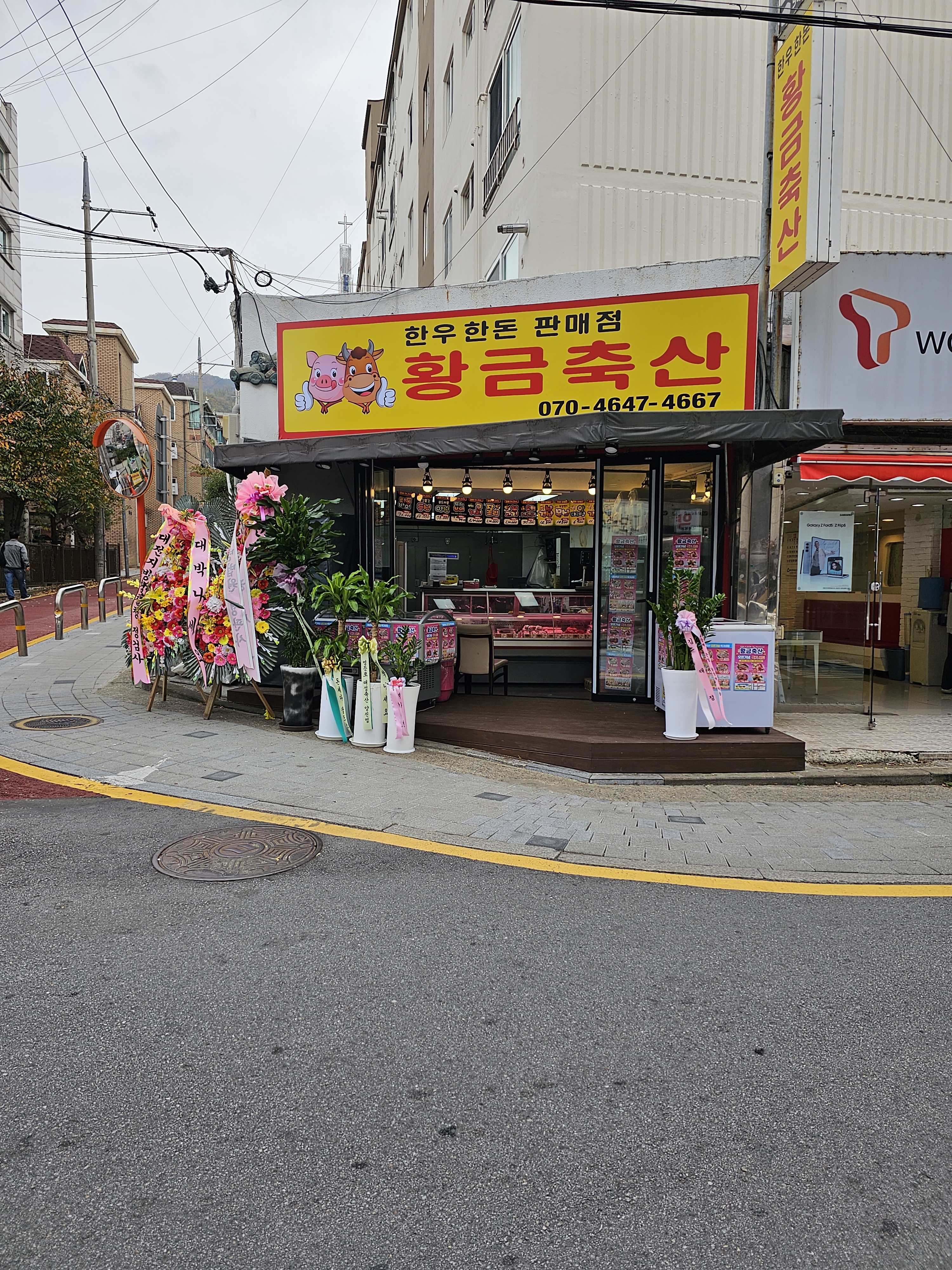 황금축산