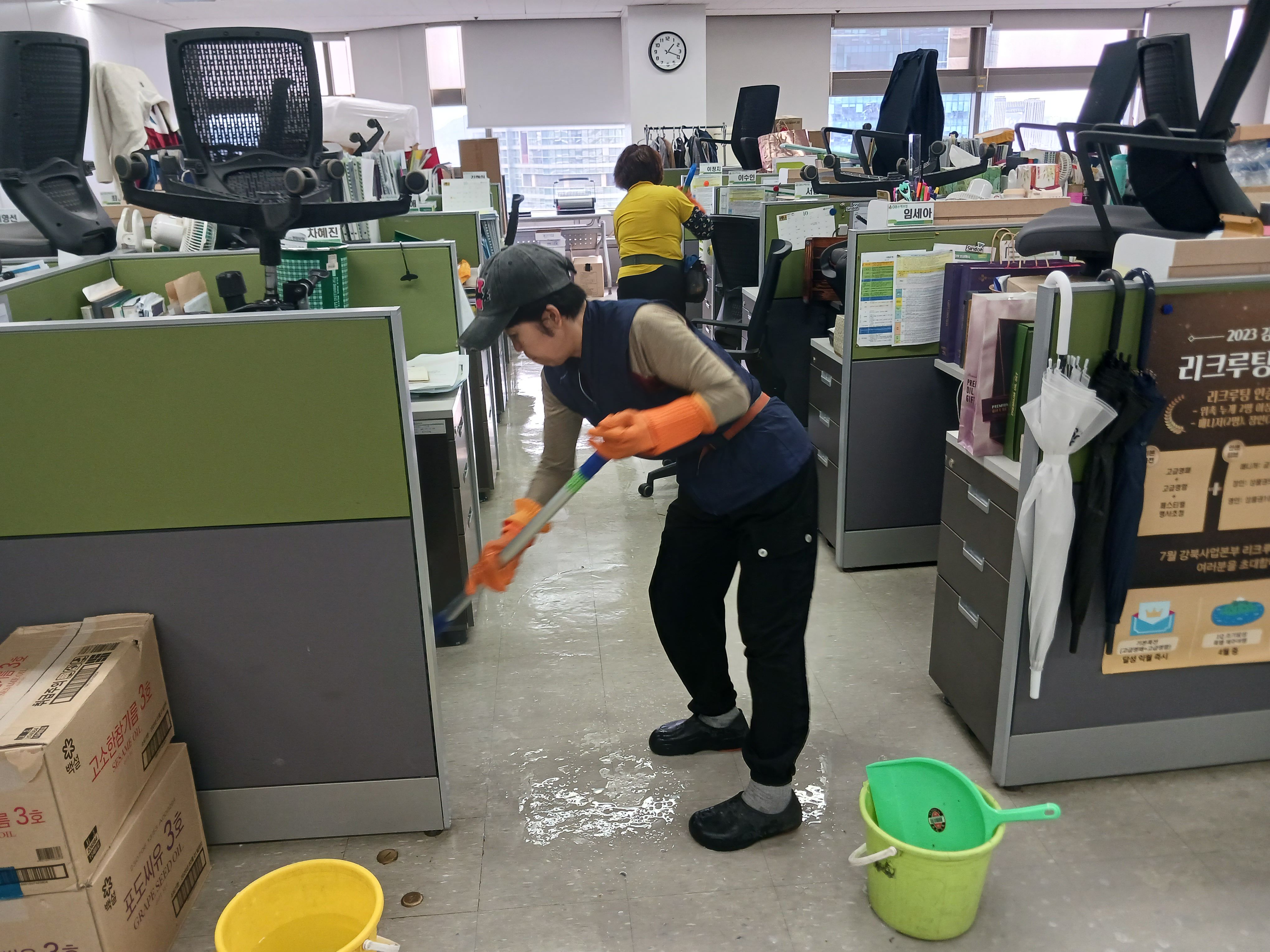 늘푸른꿈