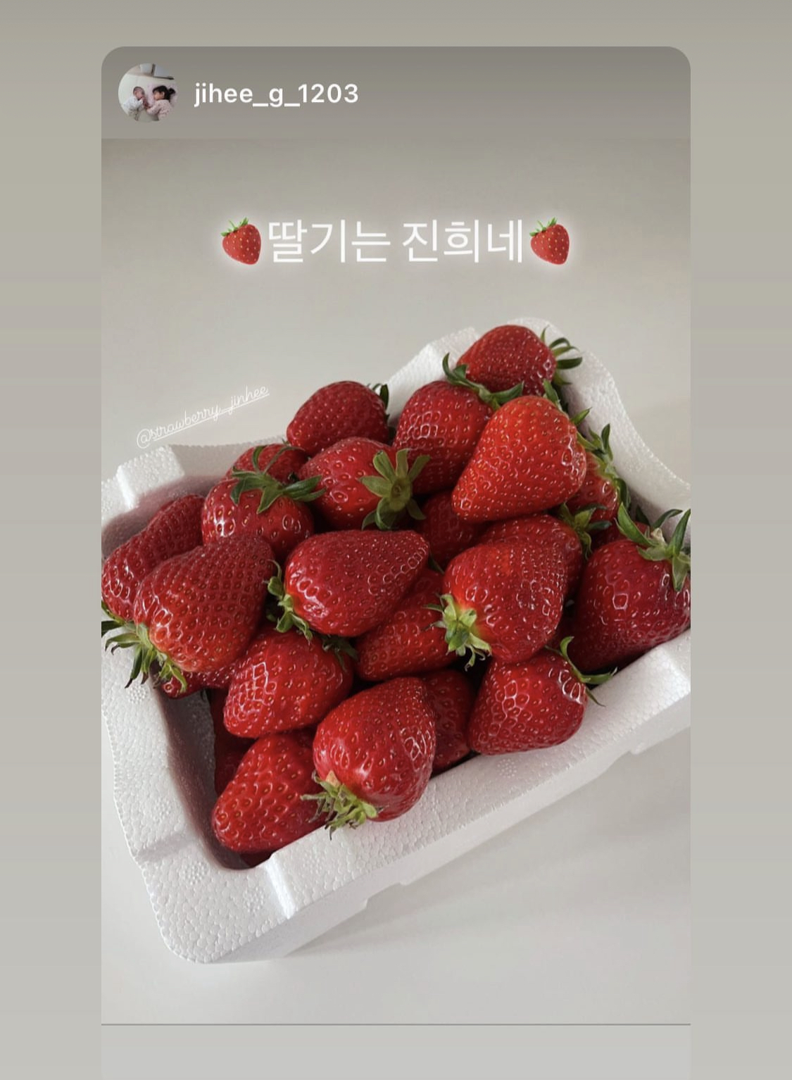진희네딸기