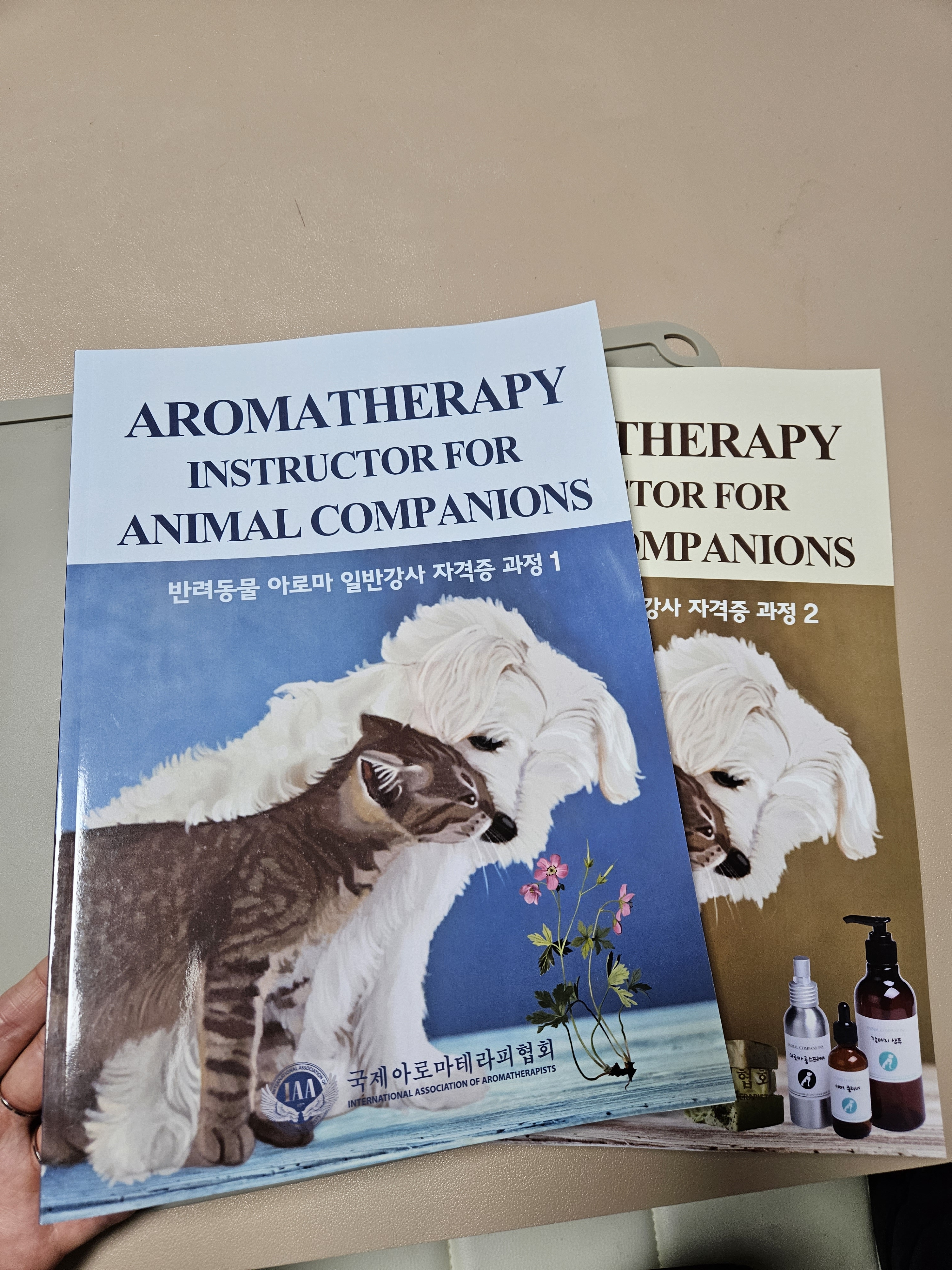 끌리개 대표 이미지