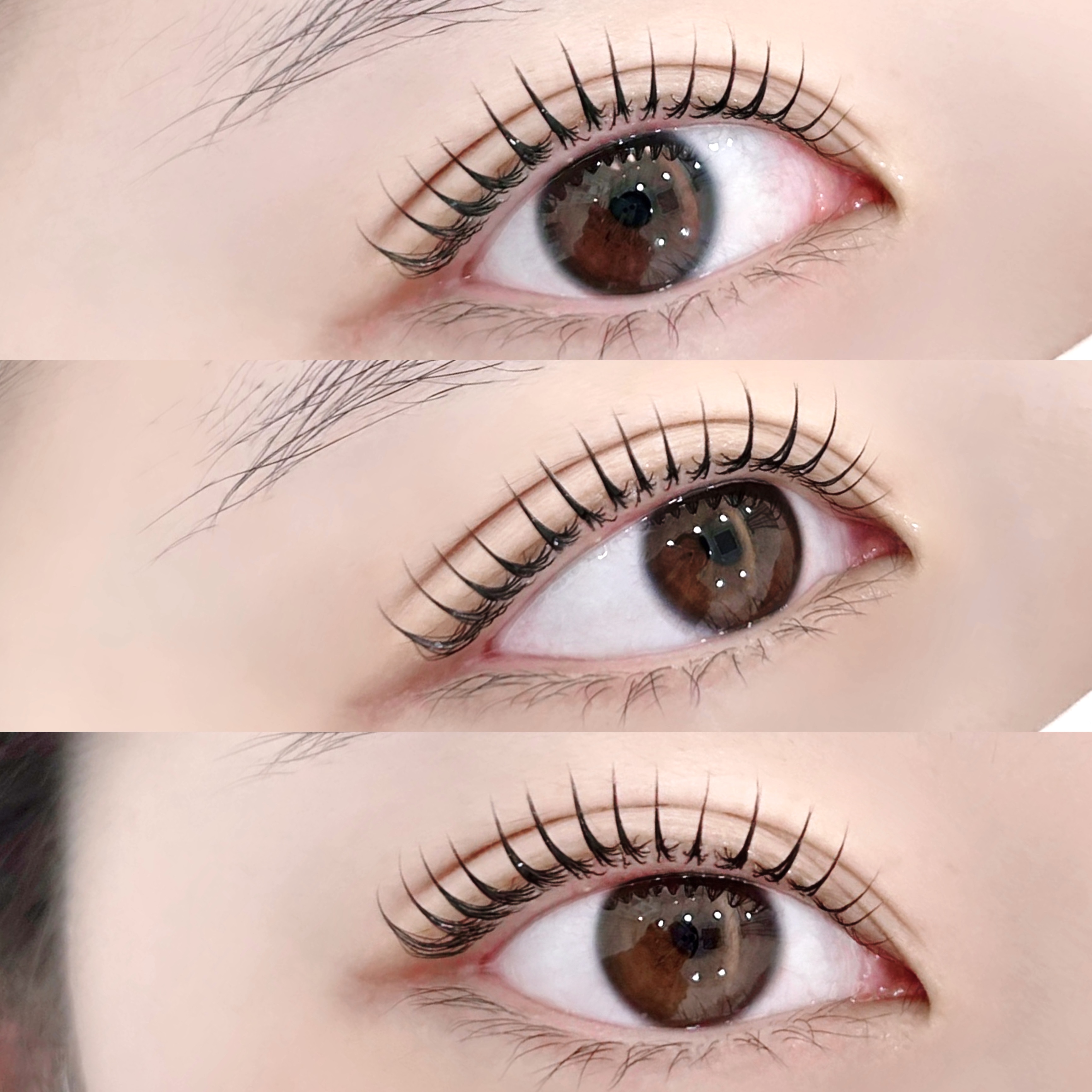 스튜디오 뉴