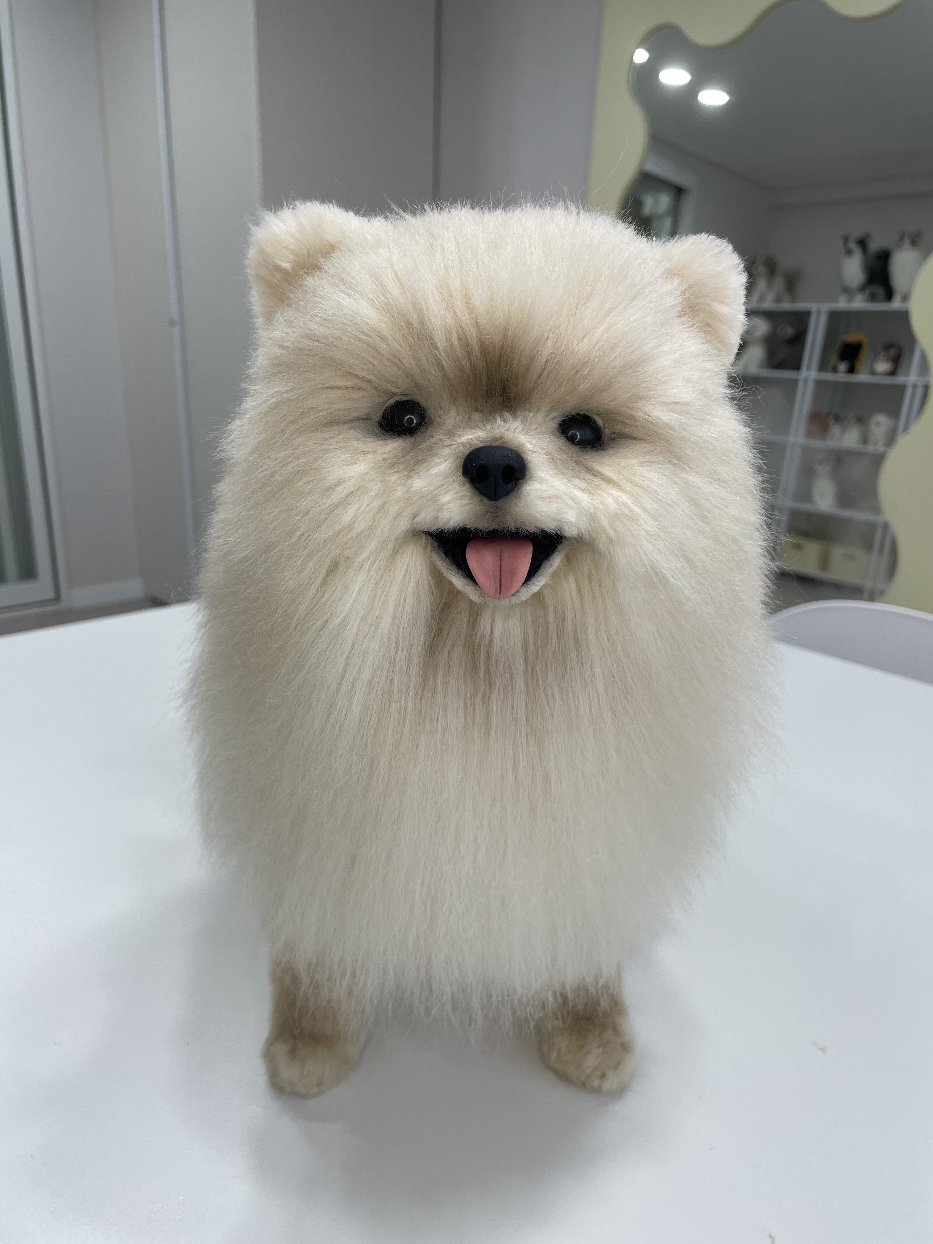 펠트지음