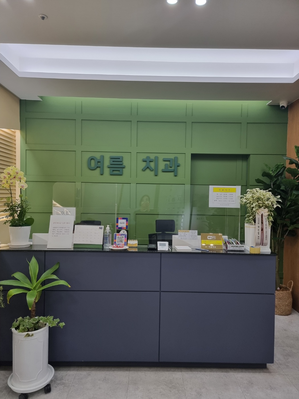 여름치과의원 대표 이미지