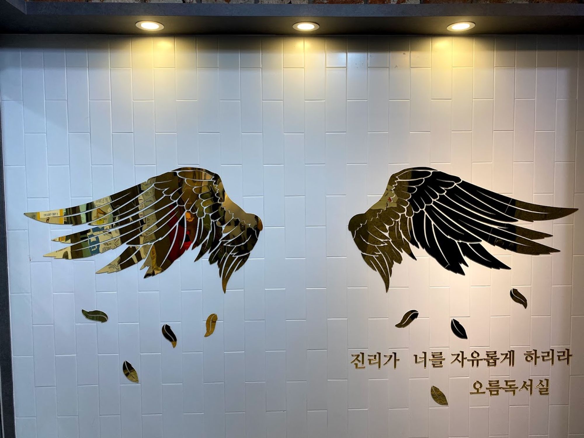 업체사진