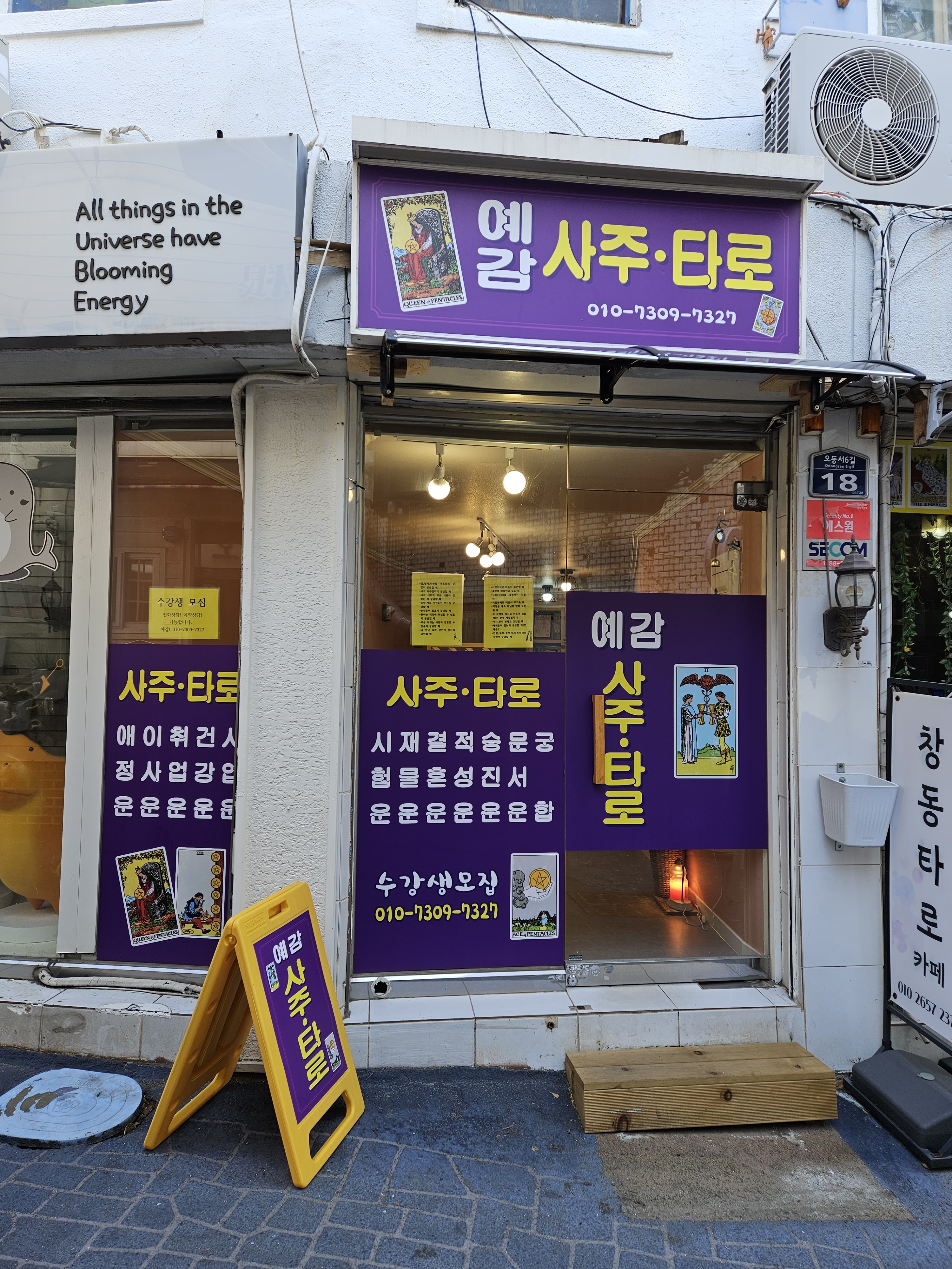 예감 타로&사주
