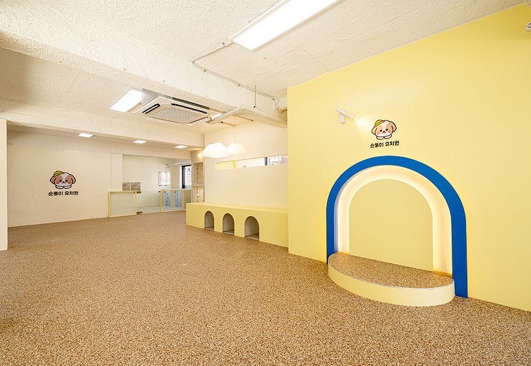 순둥이유치원 대표 이미지