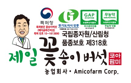 아미코팜