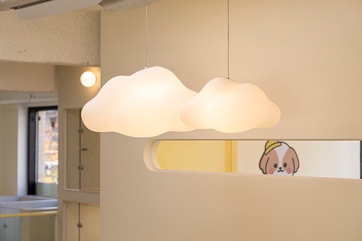 순둥이유치원 대표 이미지