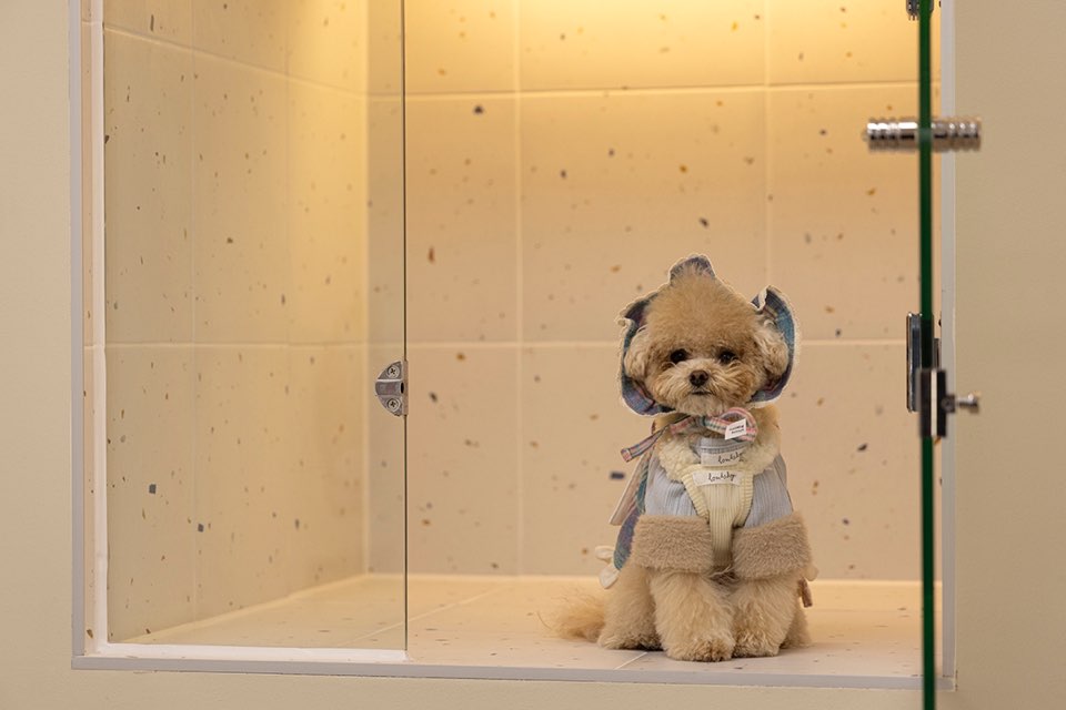 순둥이유치원 대표 이미지