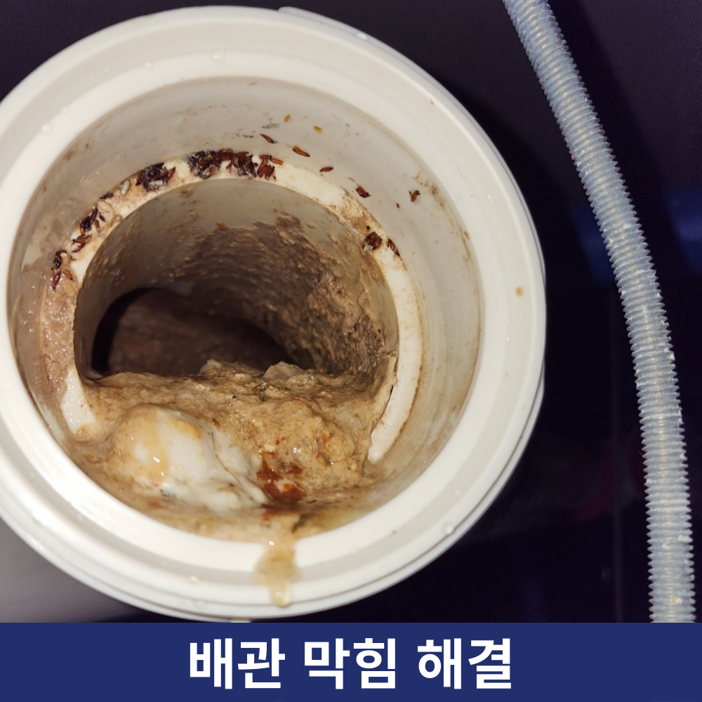 싱크대막힘변기막힘배관막힘하수구막힘역류고압세척뚫음누수