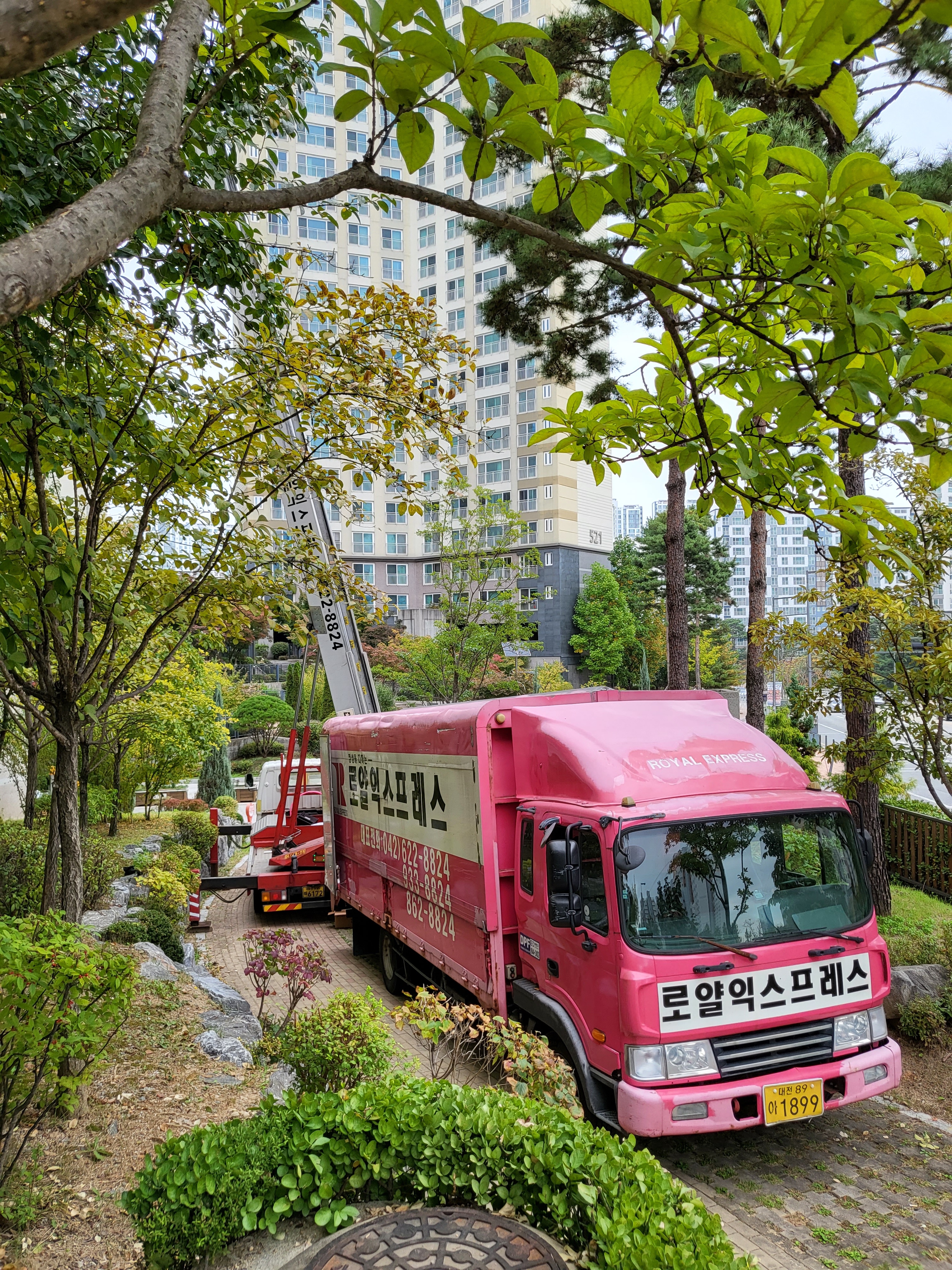 로얄익스프레스