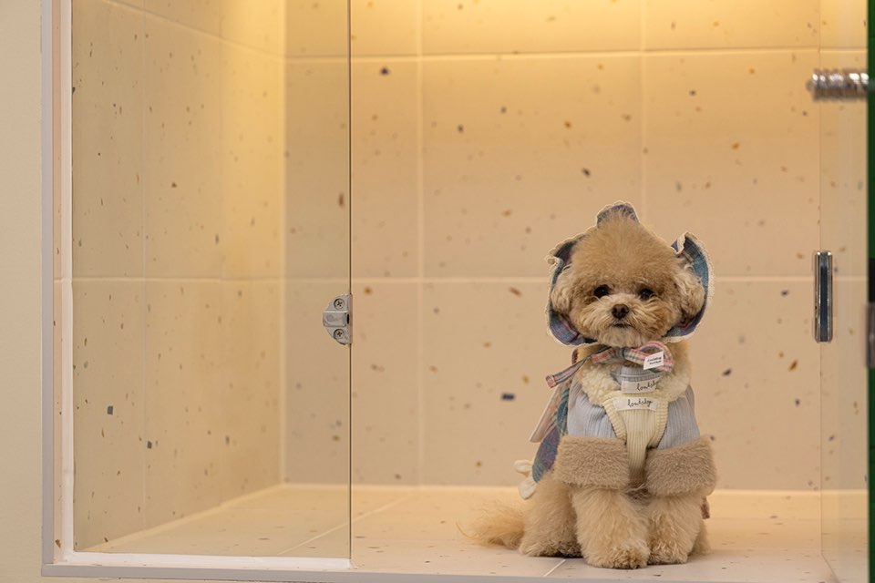 순둥이유치원 대표 이미지