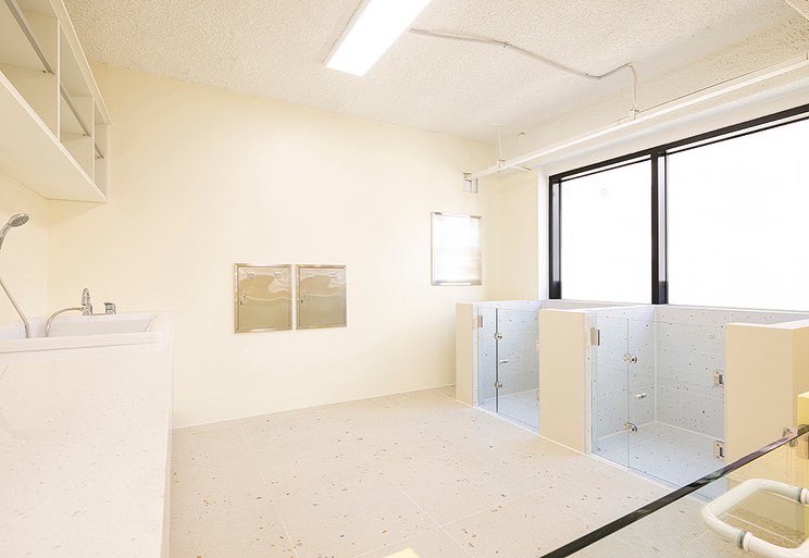 순둥이유치원 대표 이미지