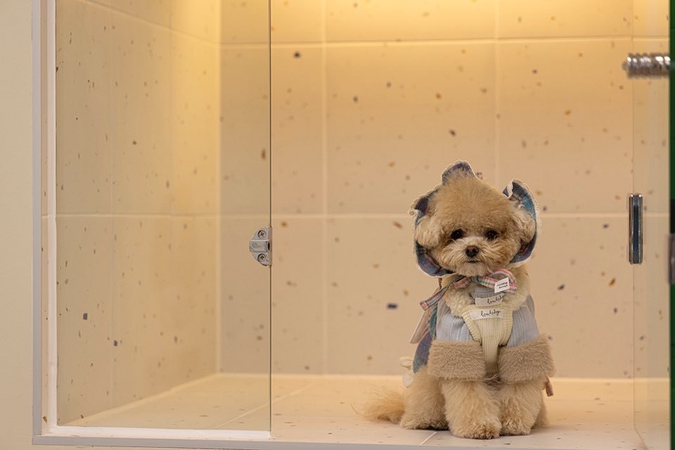 순둥이유치원 대표 이미지