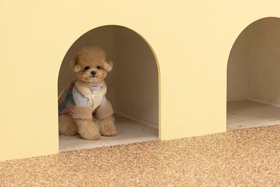 순둥이유치원 대표 이미지