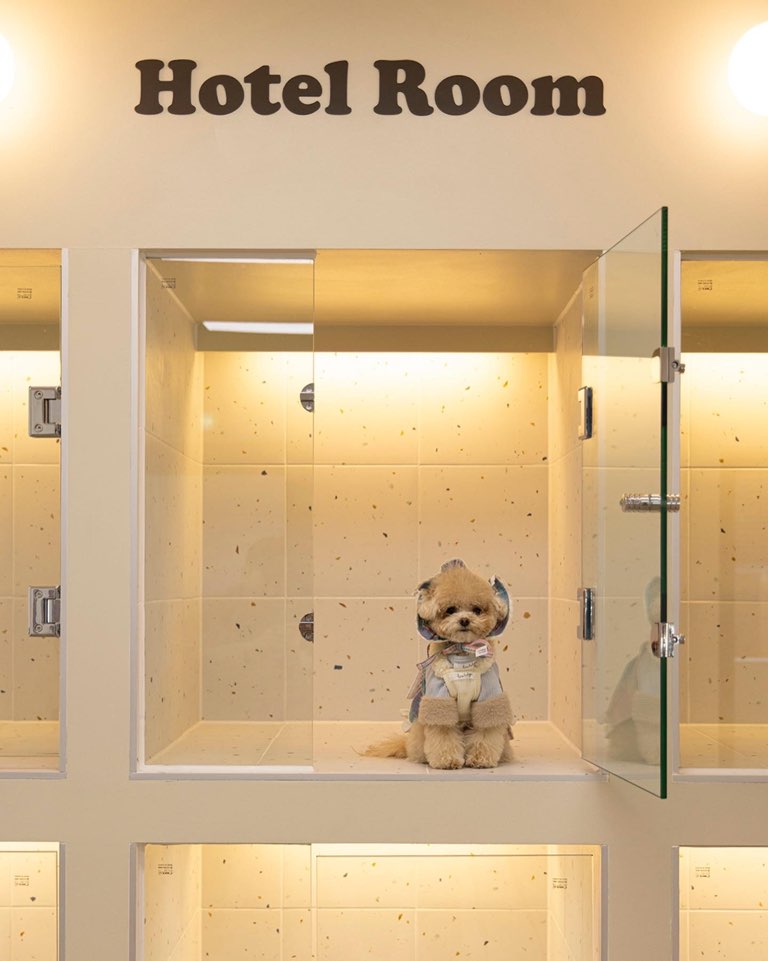 순둥이유치원 대표 이미지