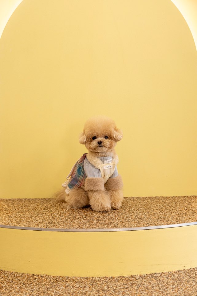 순둥이유치원 대표 이미지