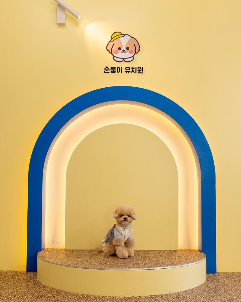 순둥이유치원 대표 이미지