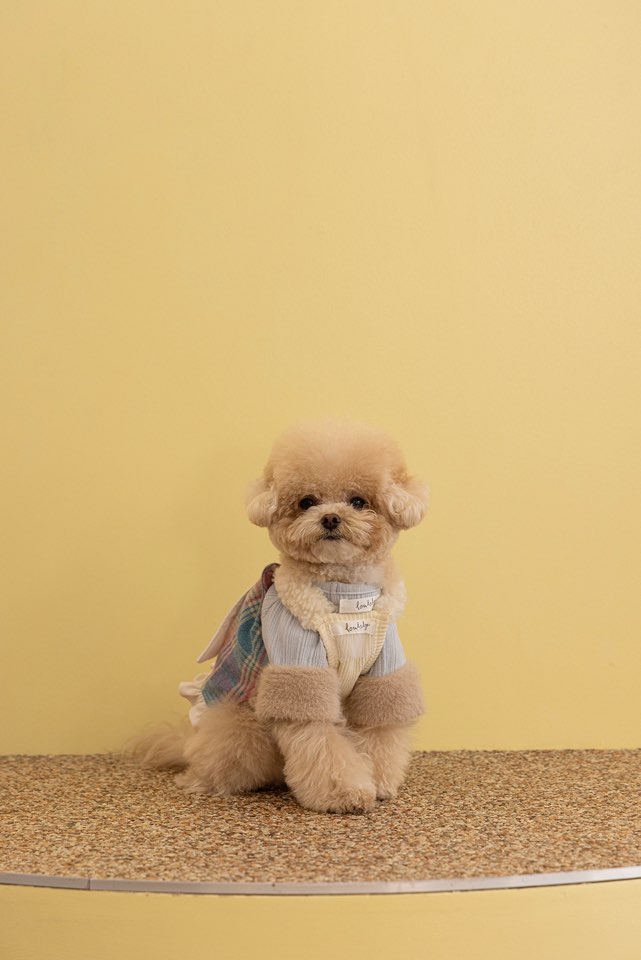 순둥이유치원 대표 이미지