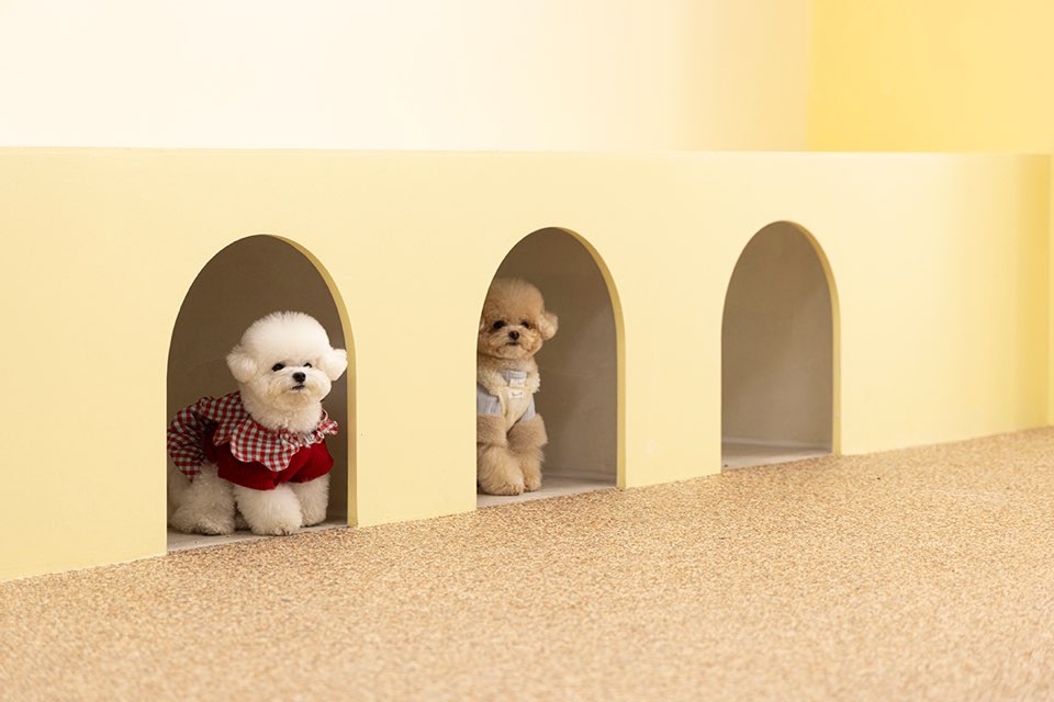 순둥이유치원 대표 이미지