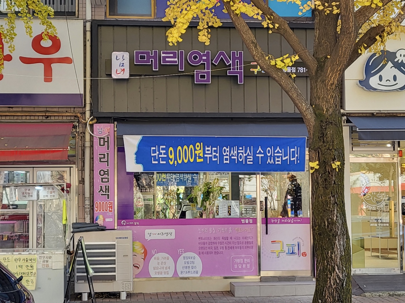 구피샵 범물점