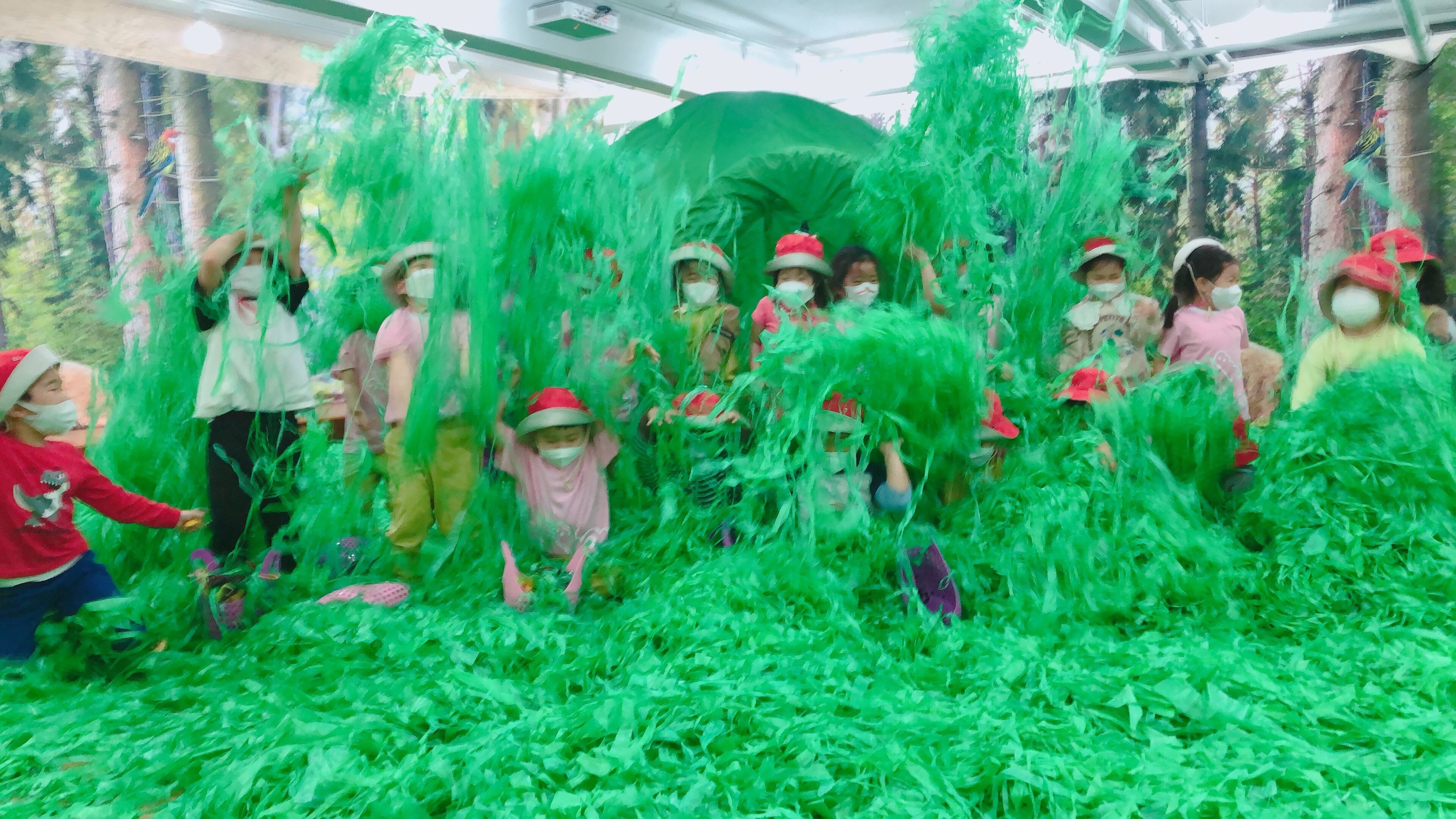 희소유치원