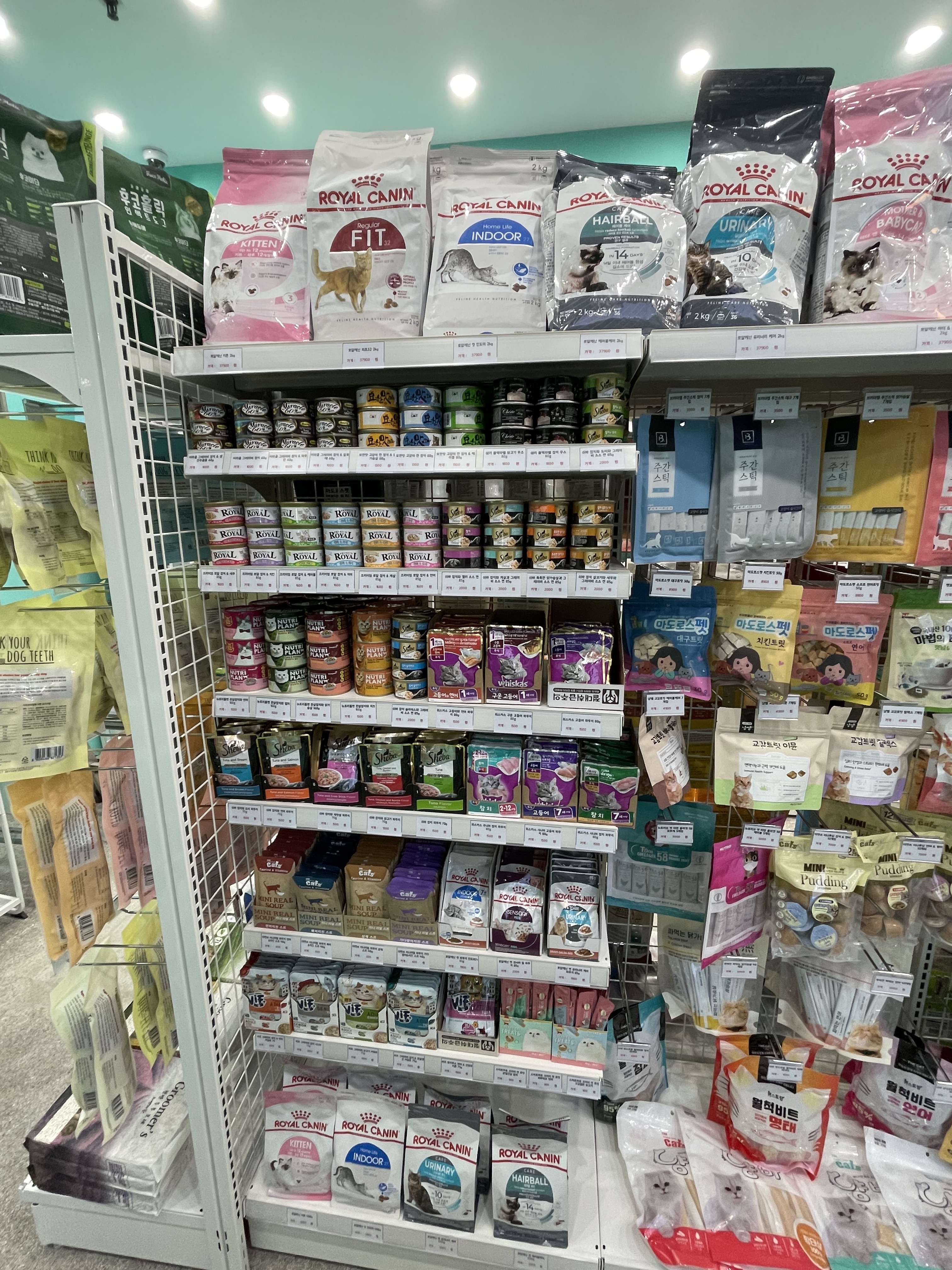 멍블리 용인동백점 반려동물 동반 애견카페