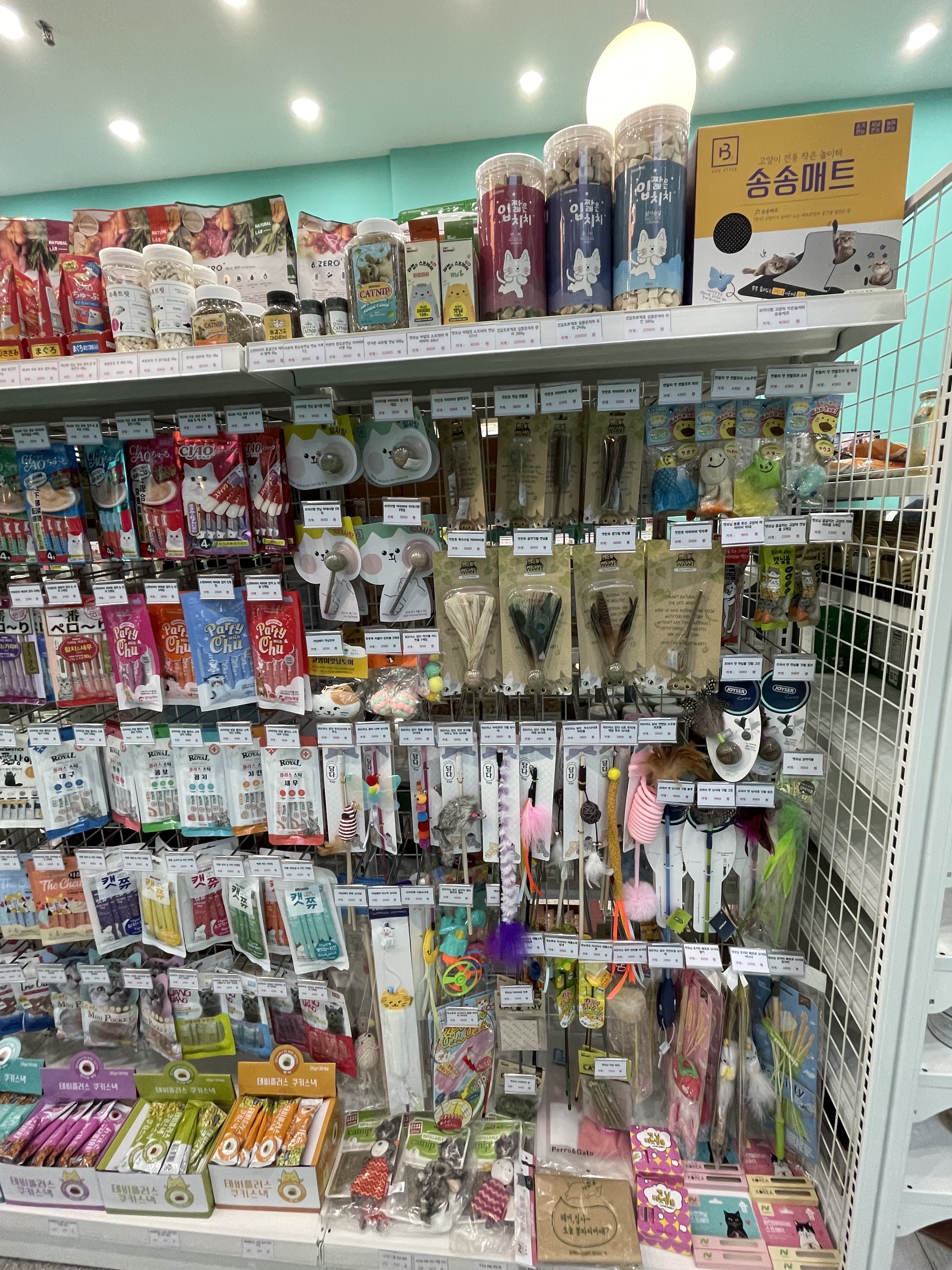 멍블리 용인동백점 경기 애견맛집
