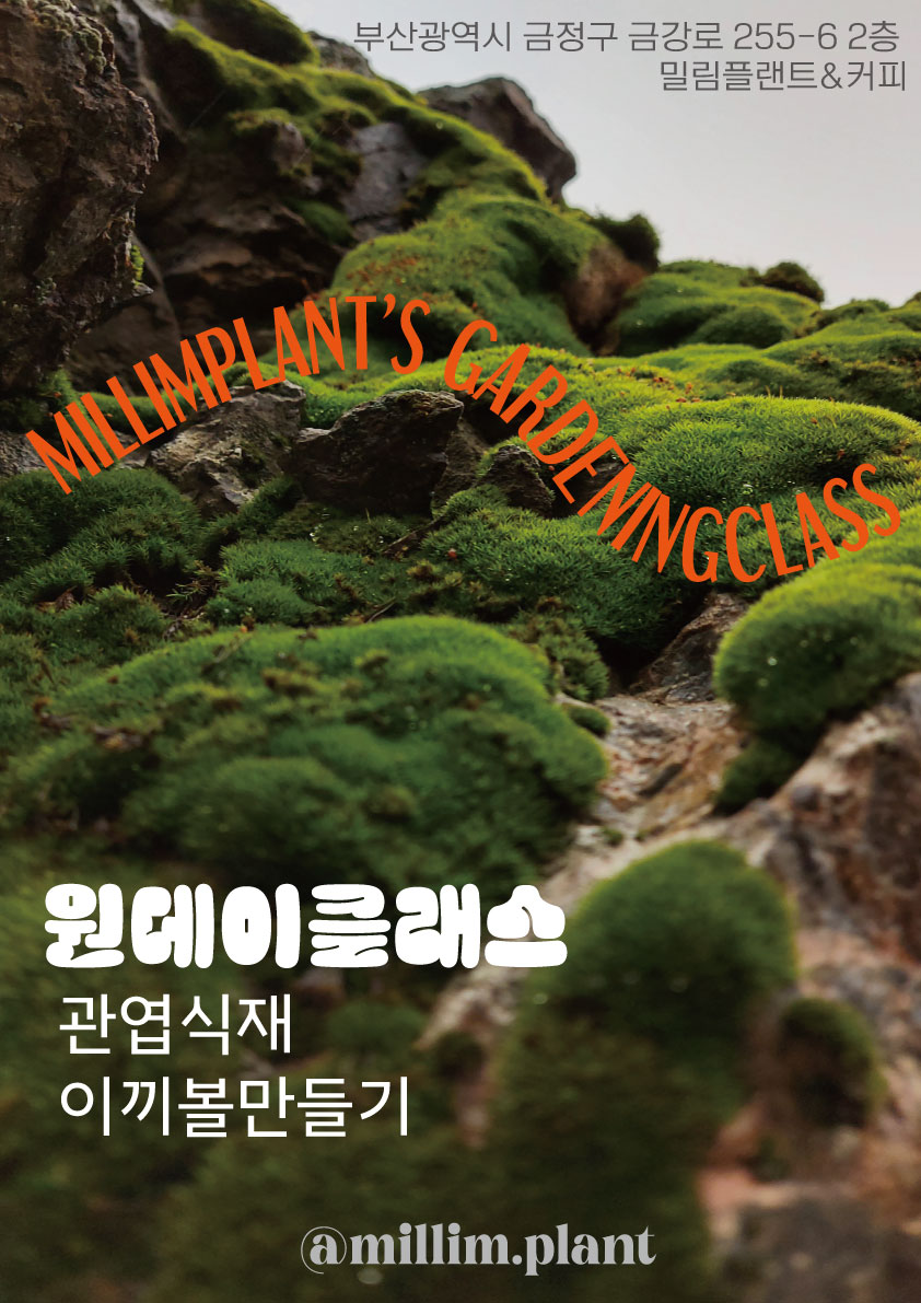 밀림플랜트