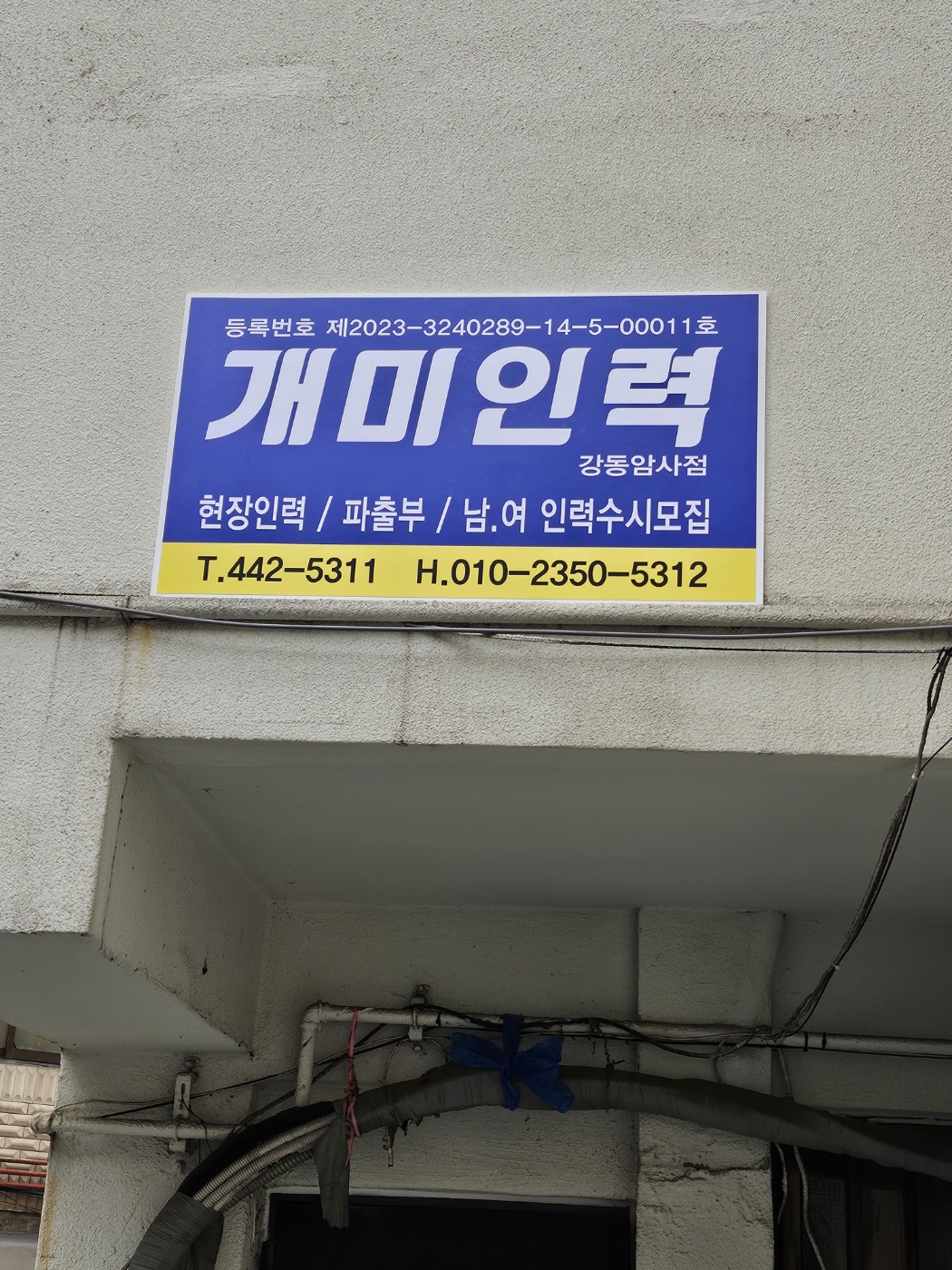 개미인력 강동암사점