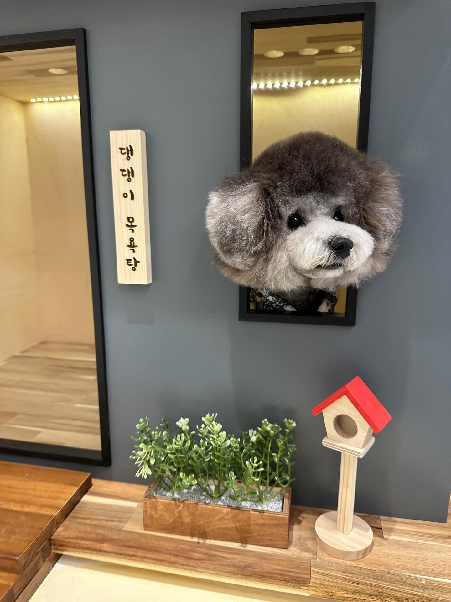 댕댕이목욕탕 대표 이미지