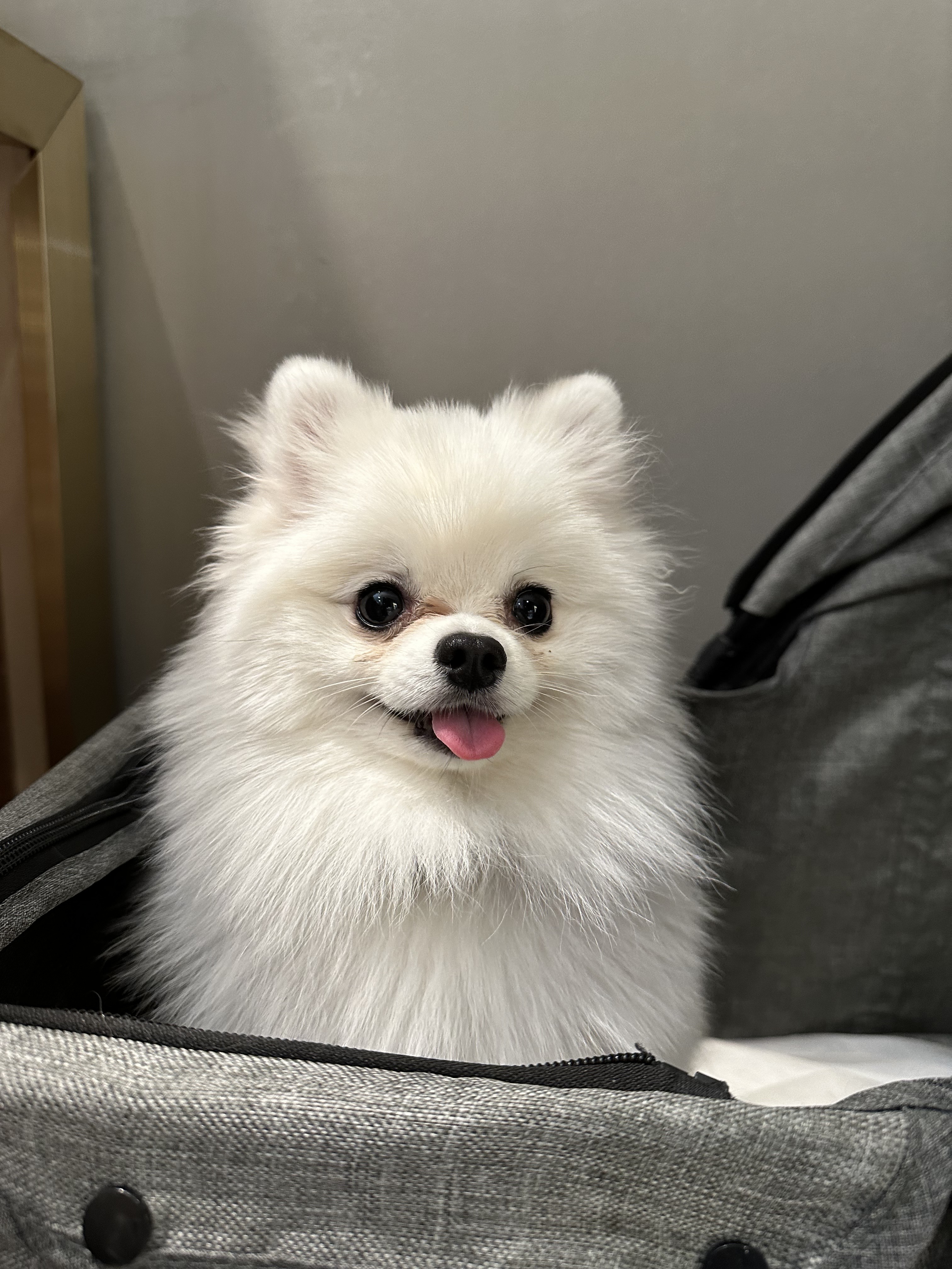 포윅스커피
