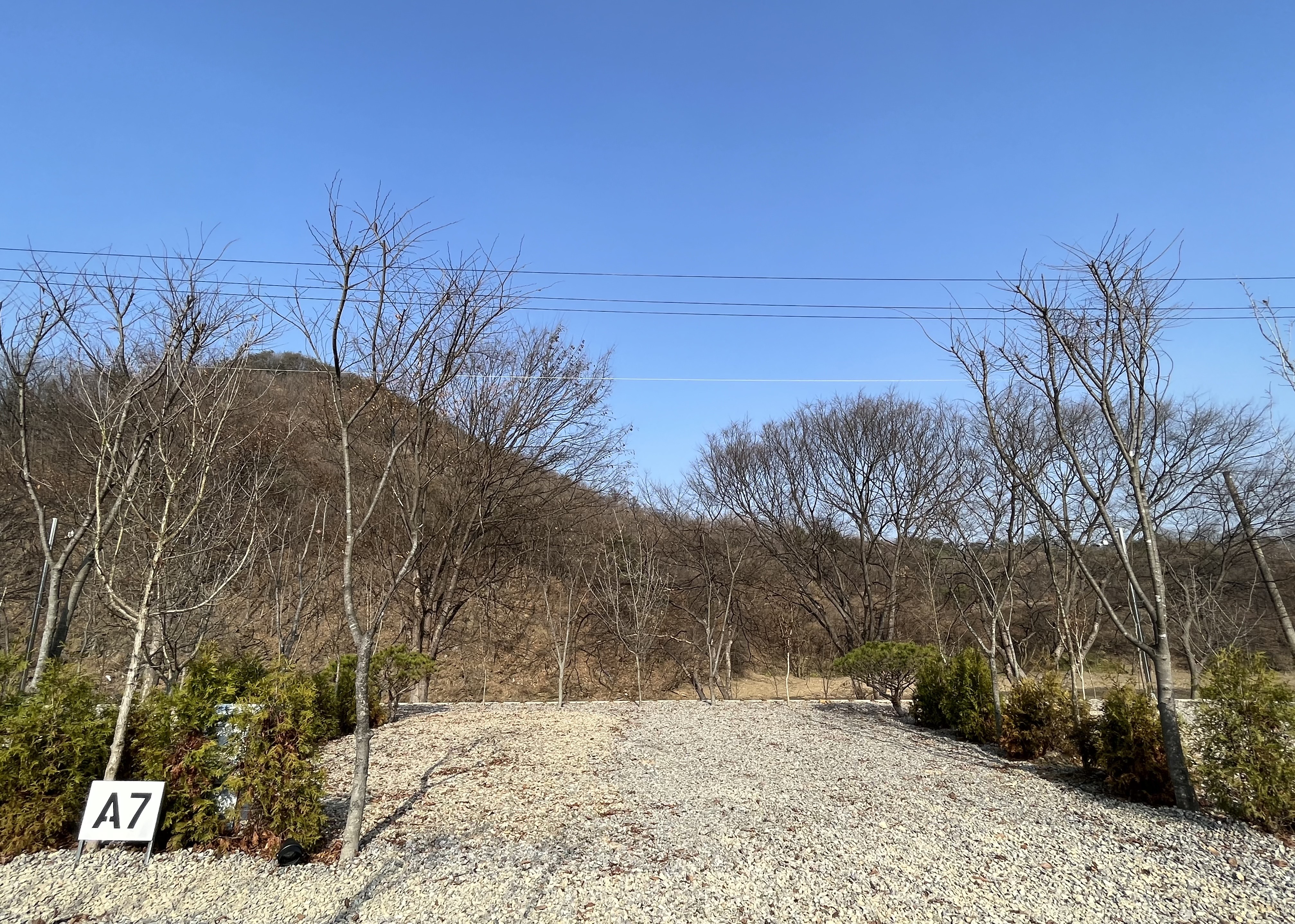 우니메이카 청주점