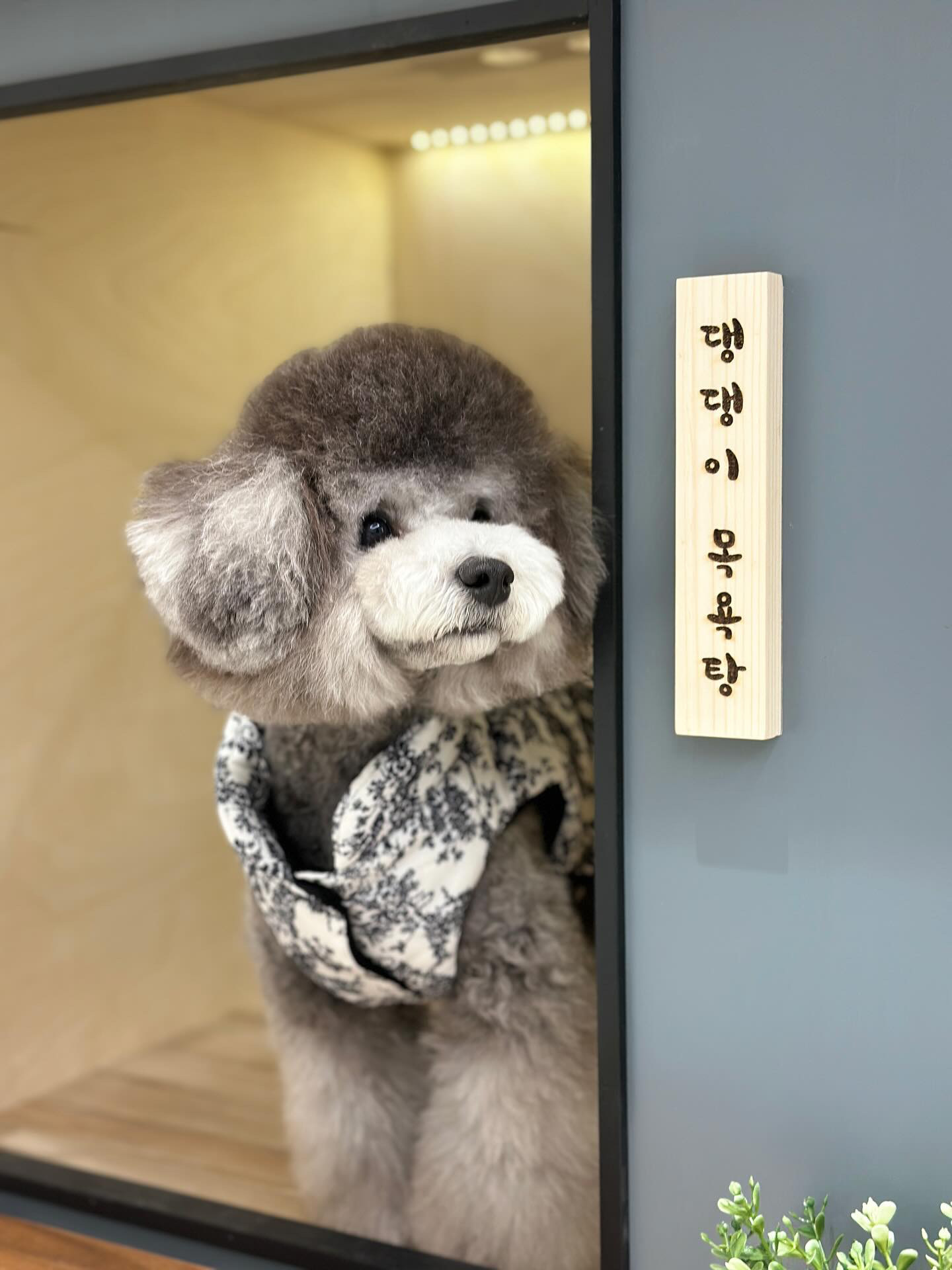 댕댕이목욕탕 대표 이미지