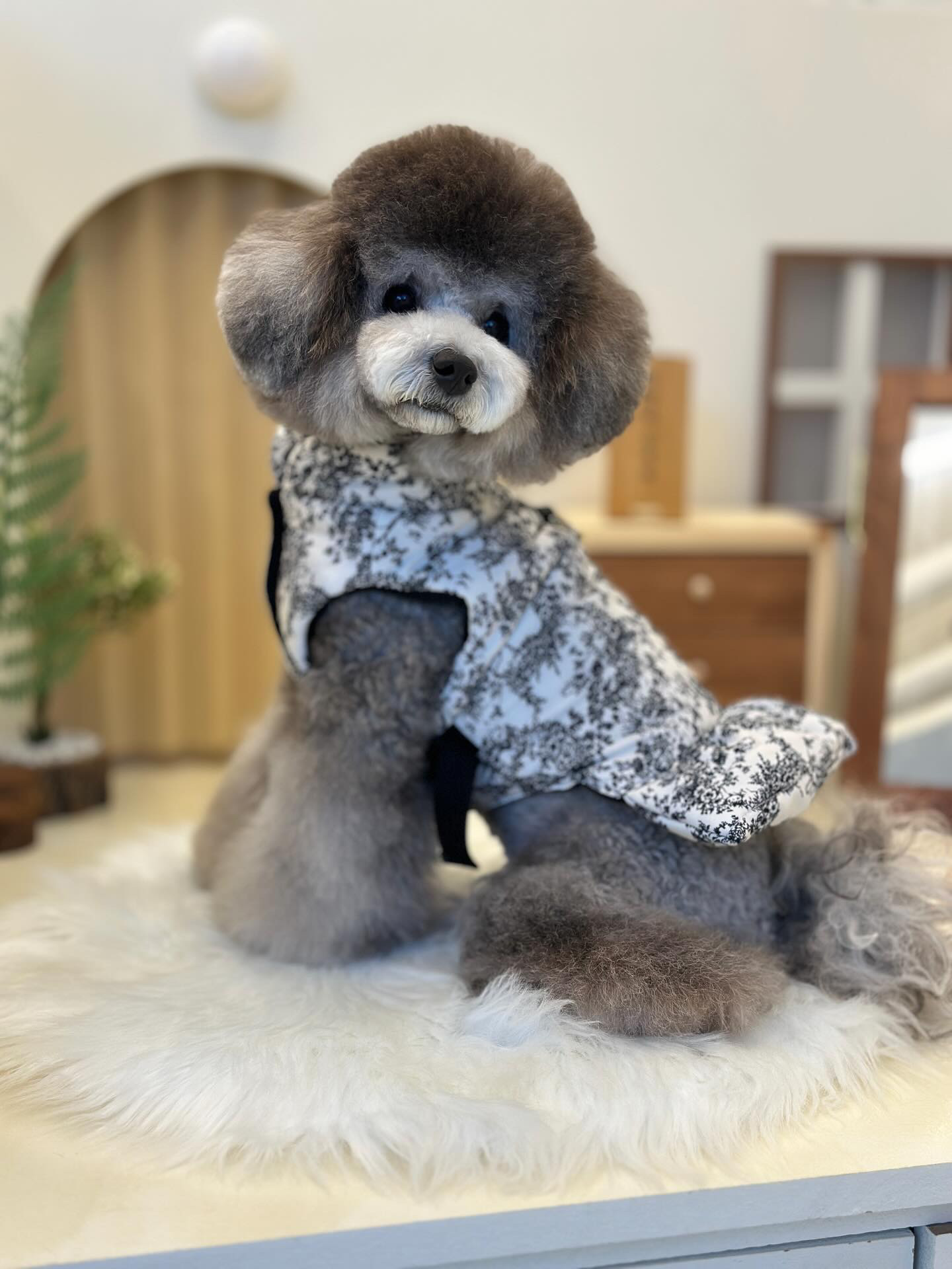 댕댕이목욕탕 대표 이미지