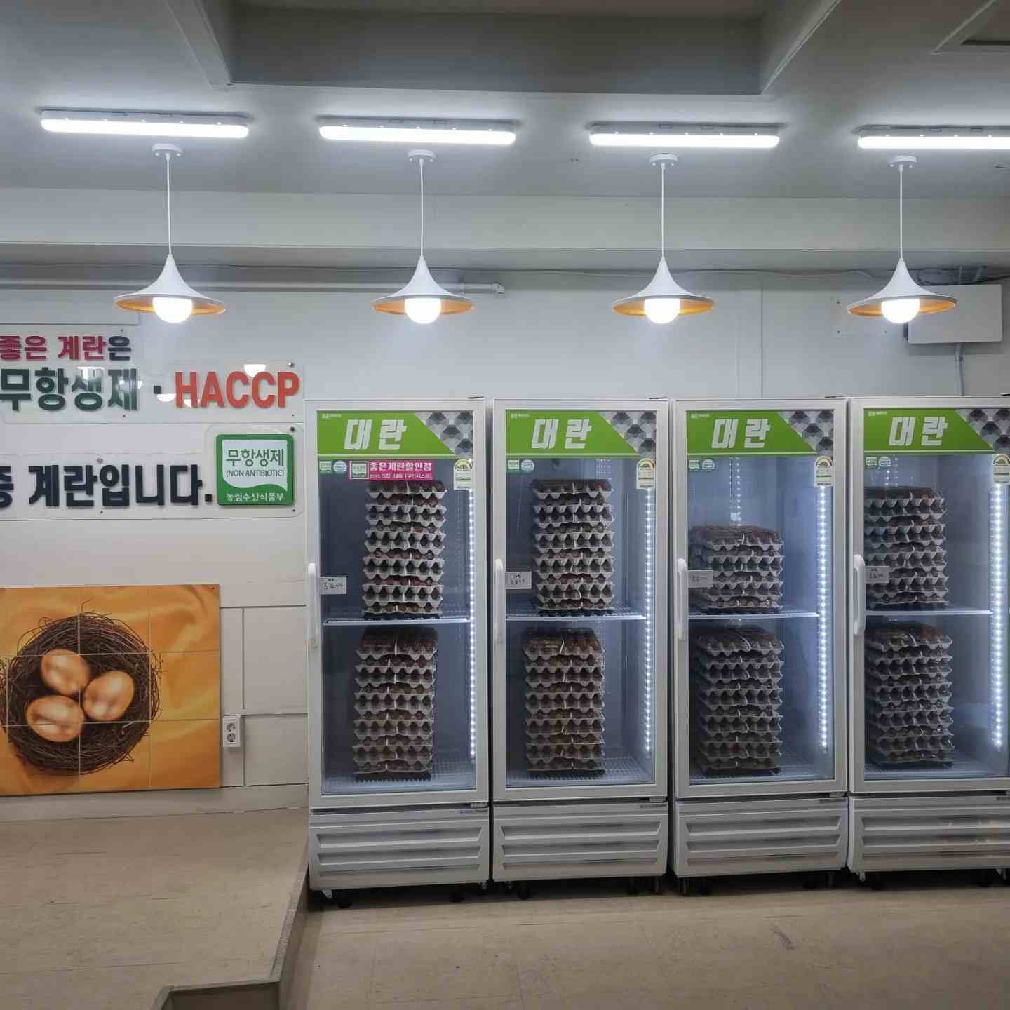 좋은계란할인점