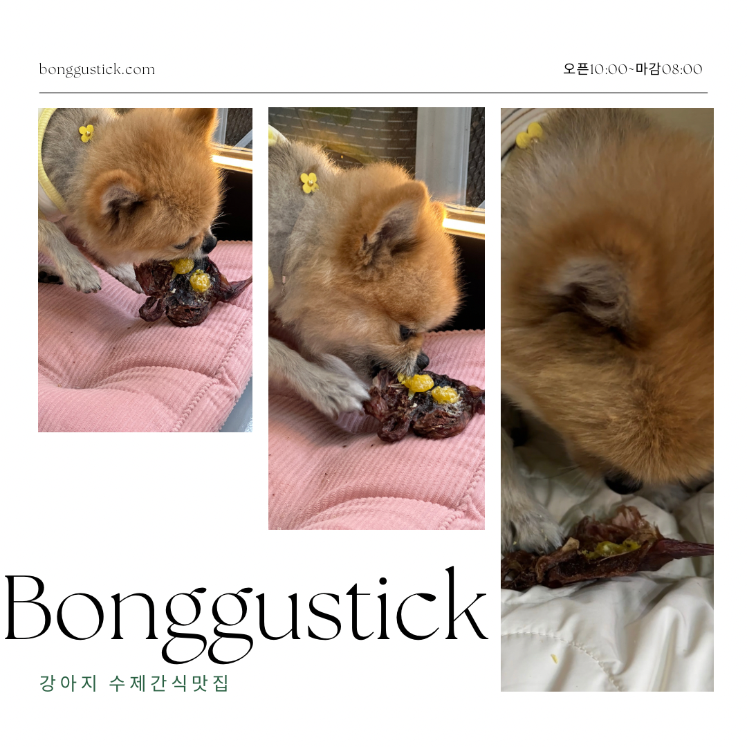 봉구스틱