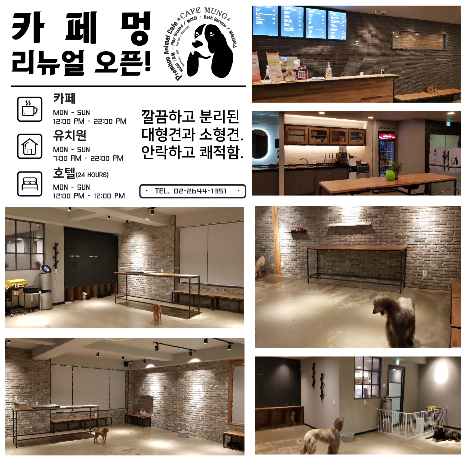 카페멍 목동점 대표 이미지