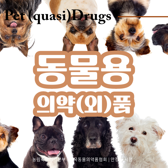 행정사법인 청효