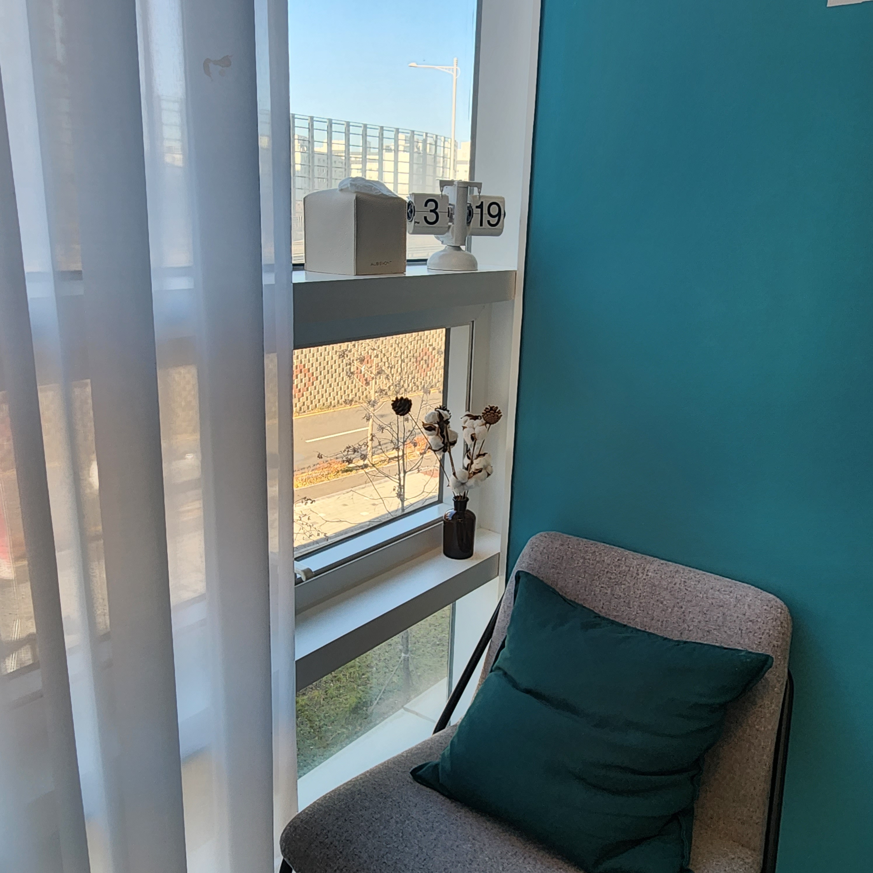 본심 대표 이미지