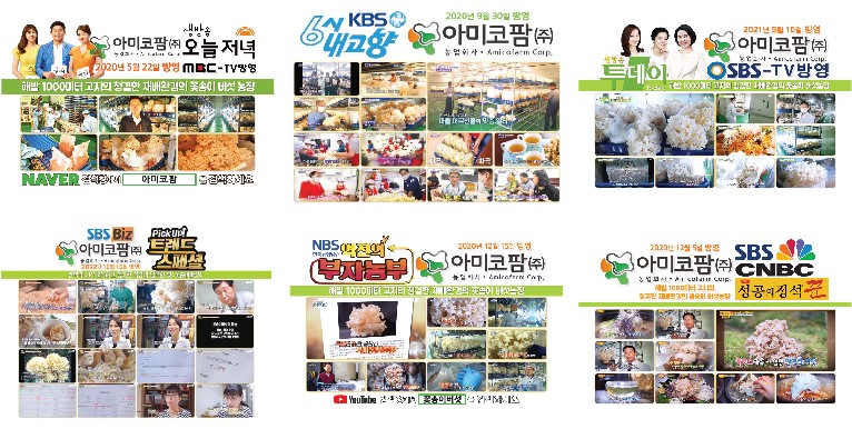 아미코팜