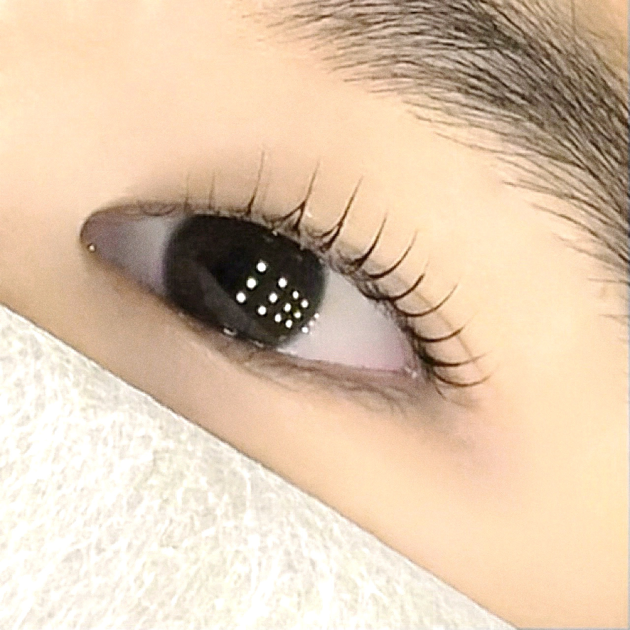 브로우 에덴
